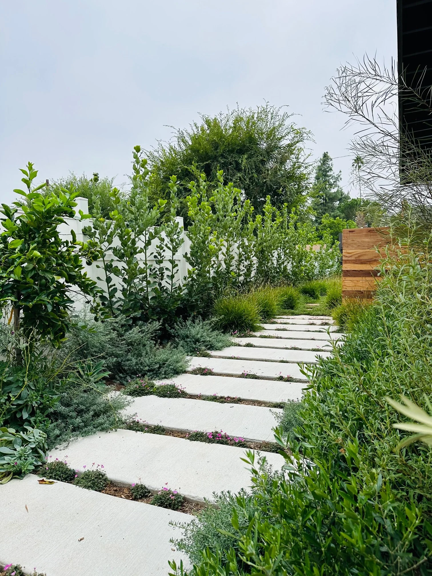 West Mendocino Street Residence