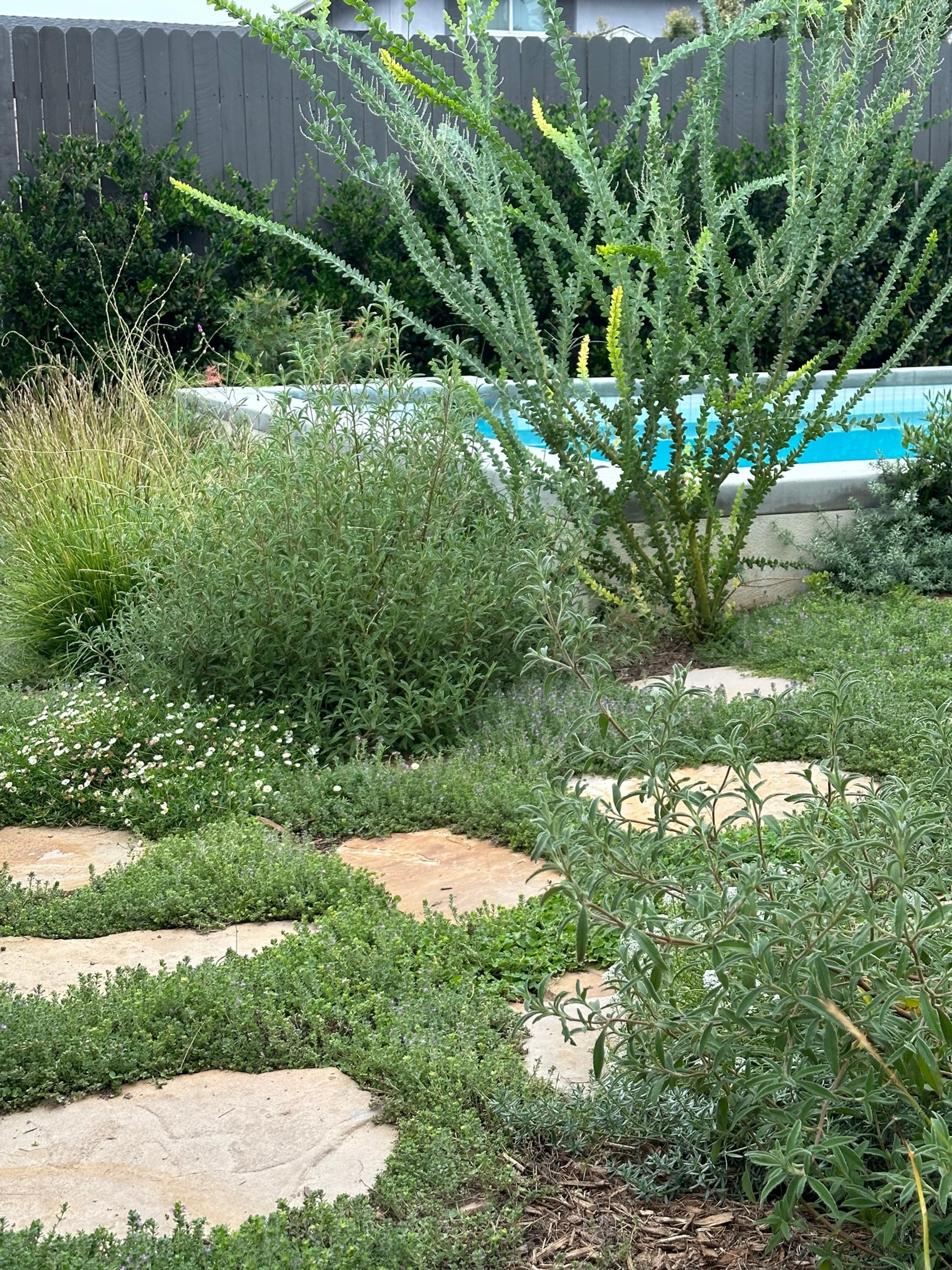 West Mendocino Street Residence