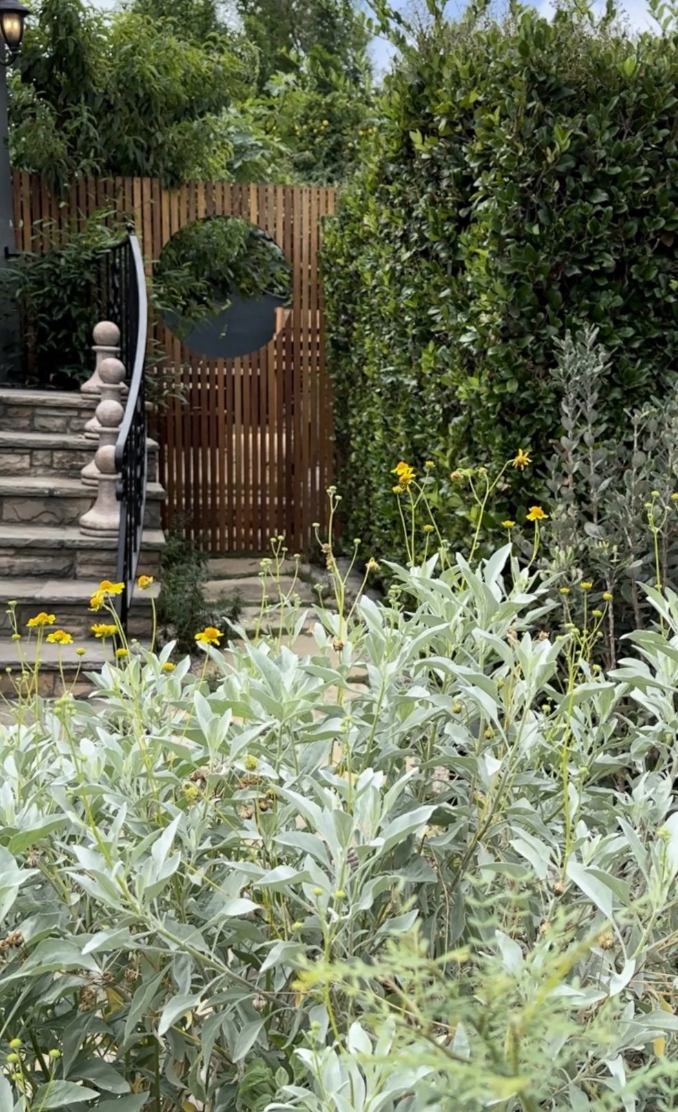 fi campbell - silverwood terr.jpg