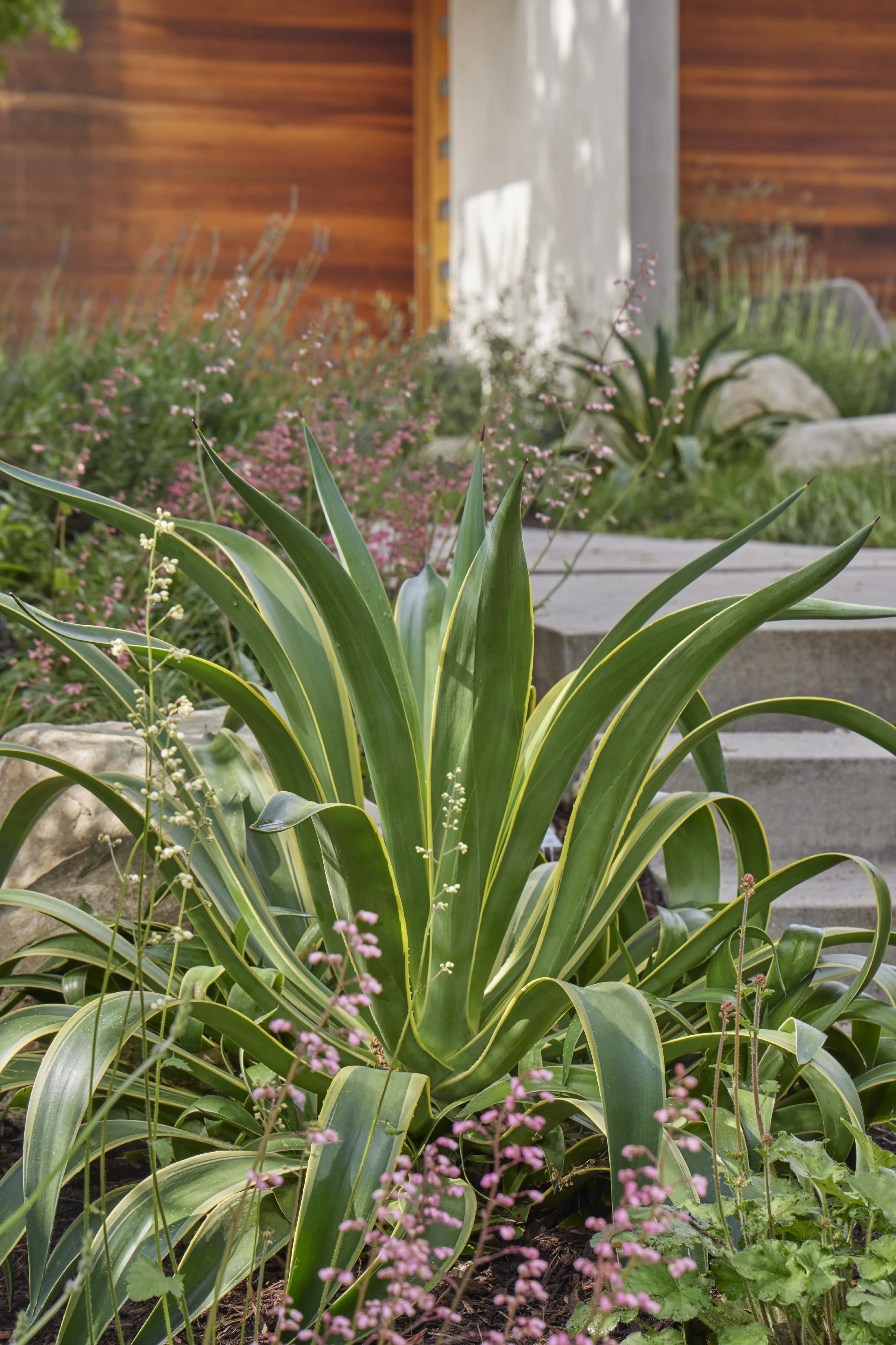 Hidden Canyon Residence