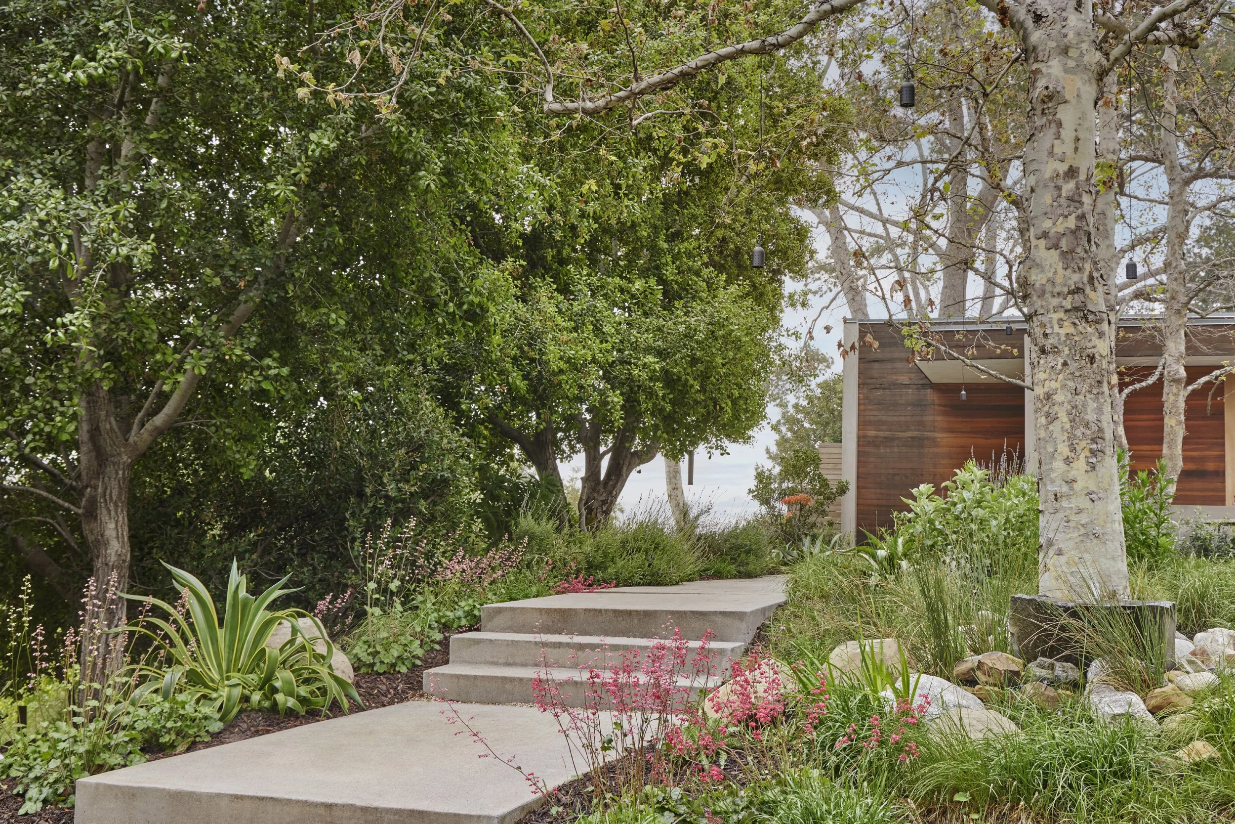 Hidden Canyon Residence