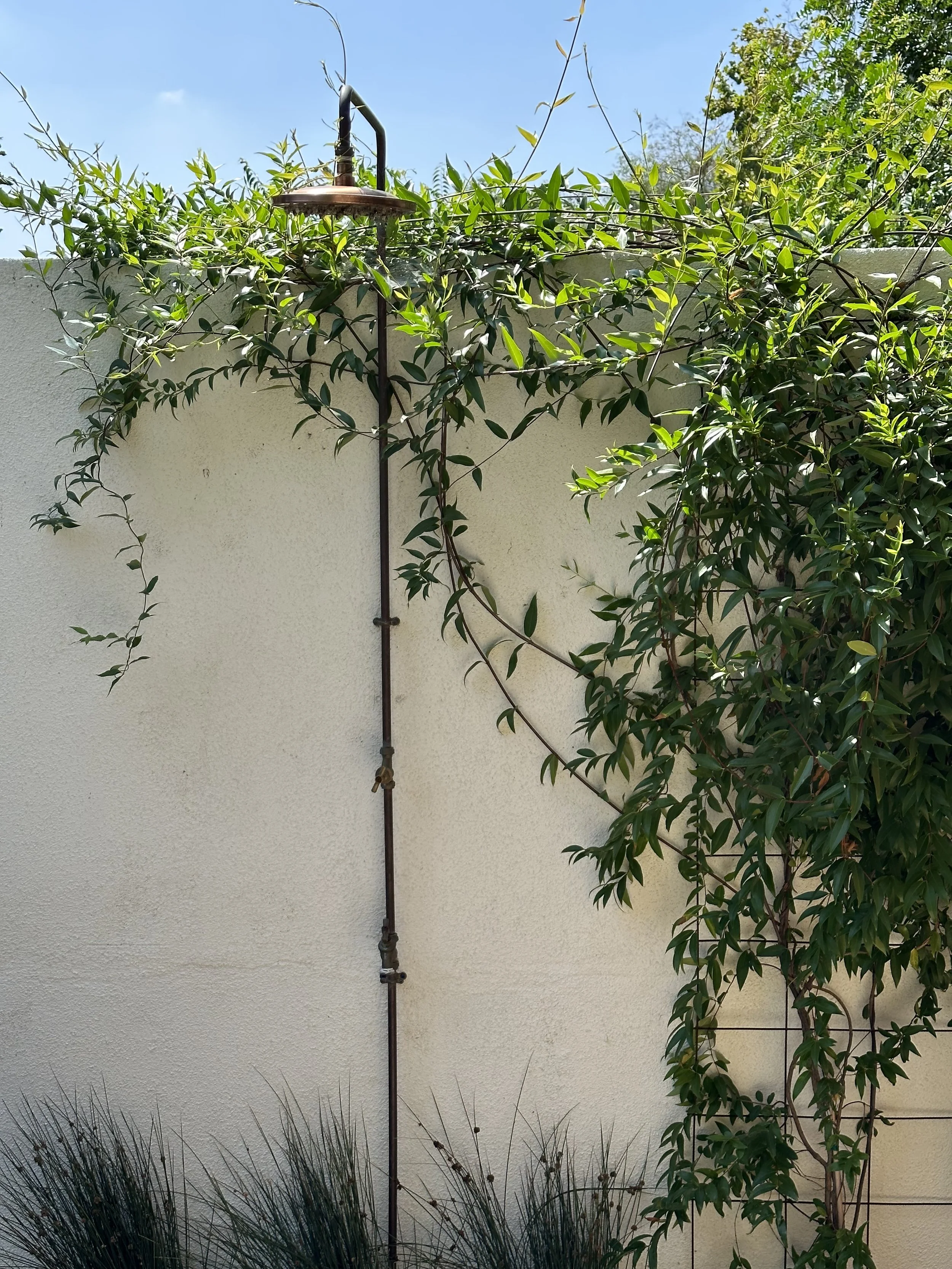 fi campbell - princeton.jpg