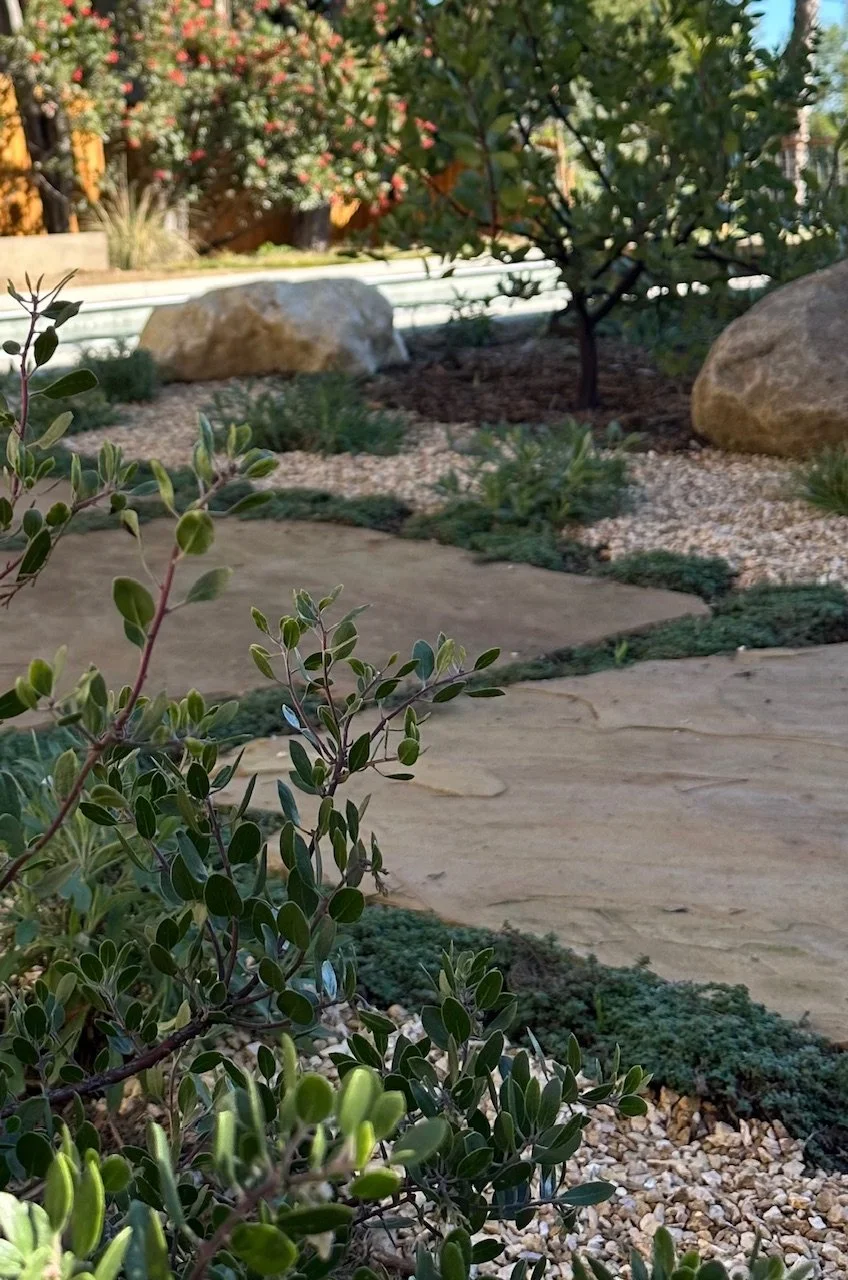 Baxter Street Residence