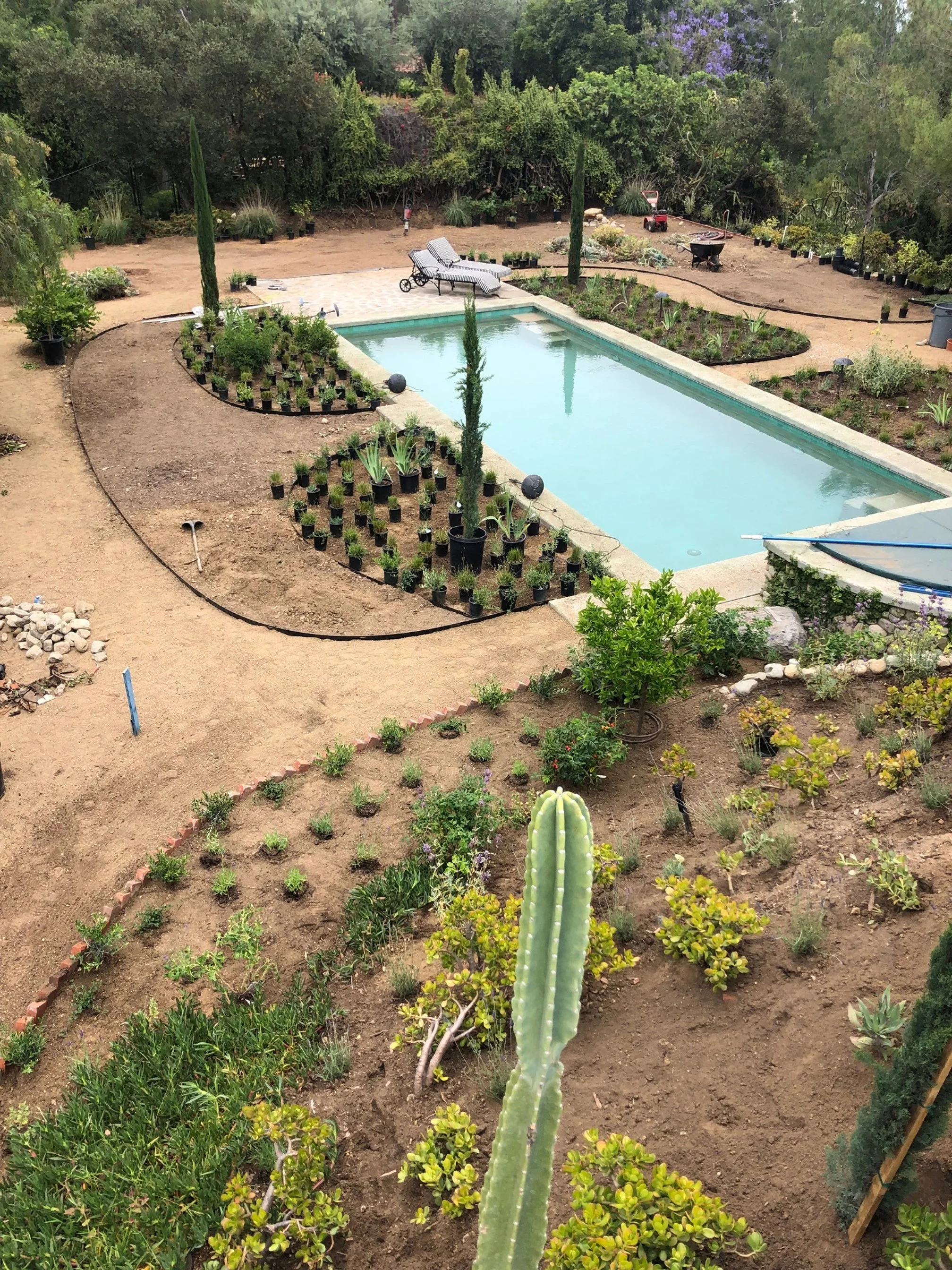 fi campbell design - patrician way bts.jpg