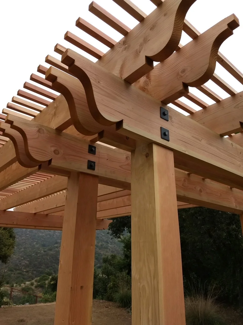 Patrician Way Pergola