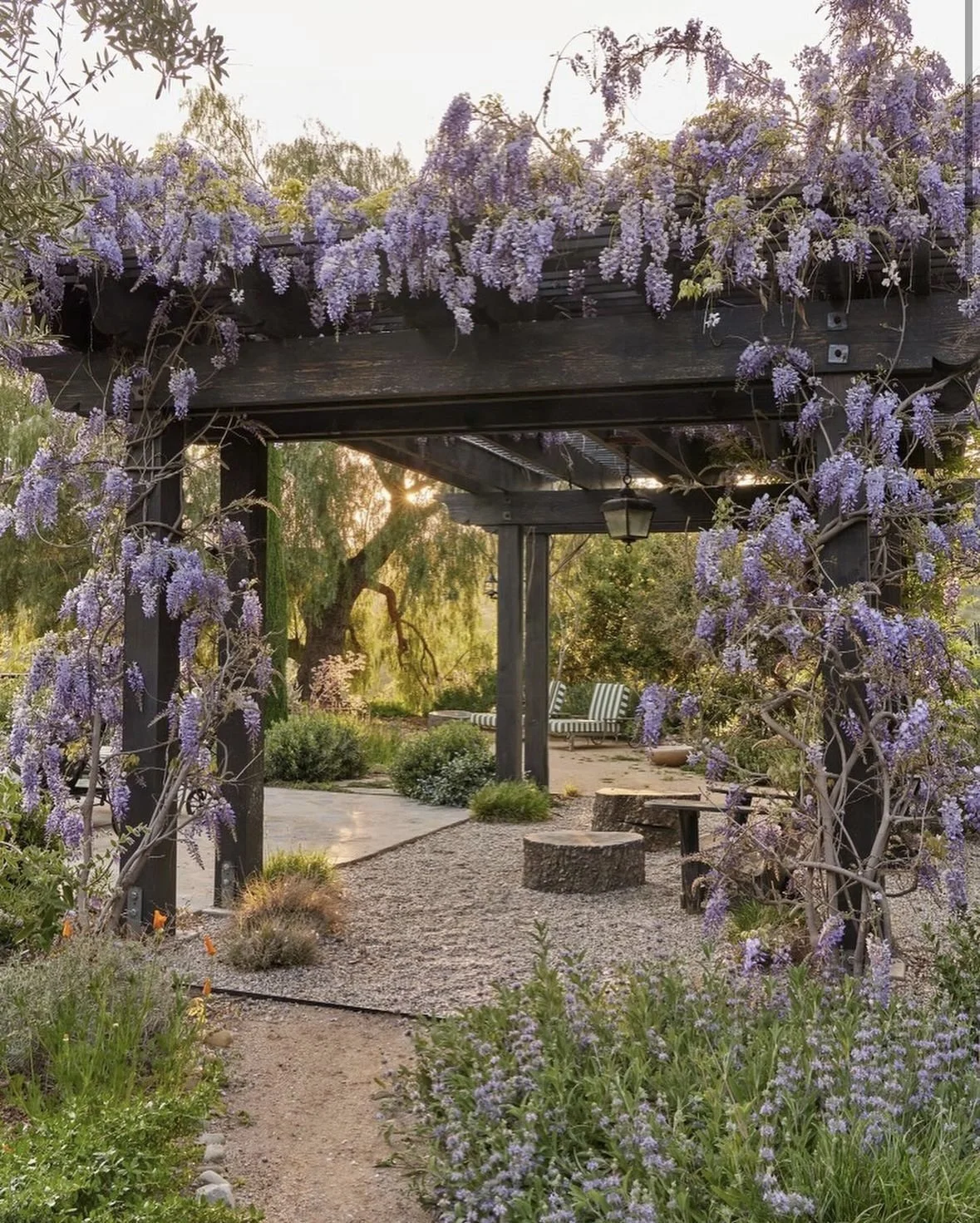 fi campbell design - patrician way.jpg