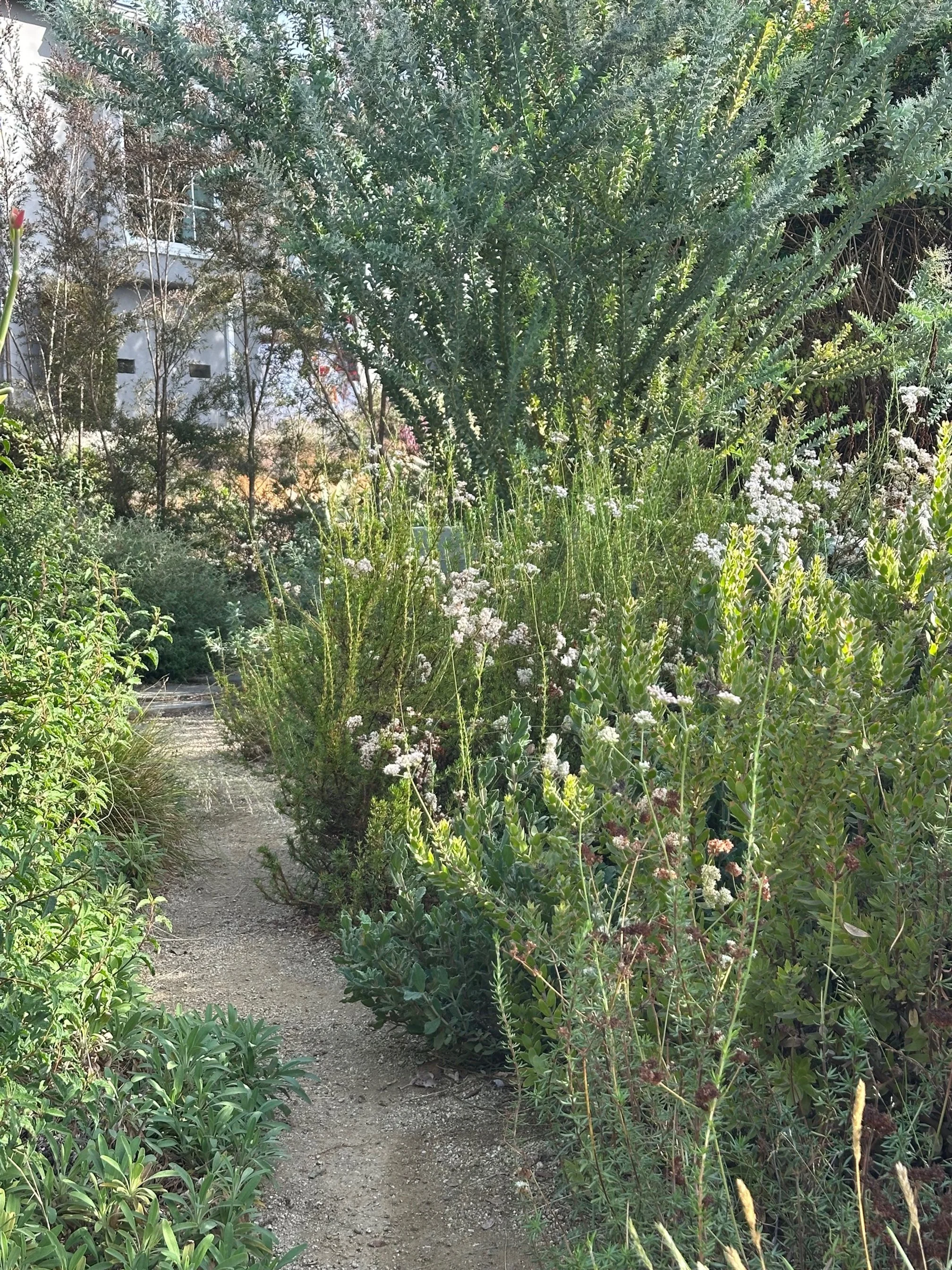 Hill Drive Residence