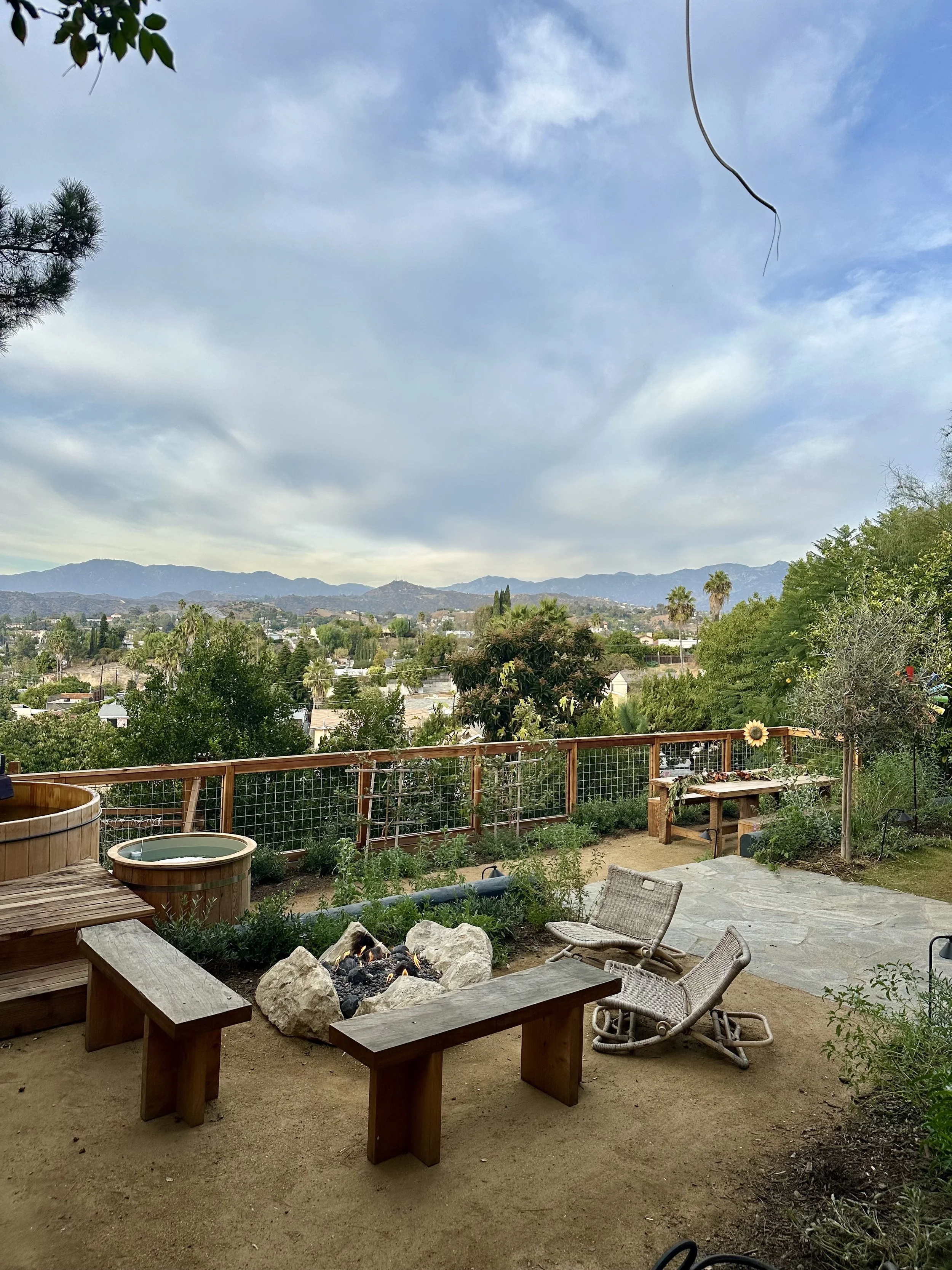 fi campbell design - montezuma.jpeg