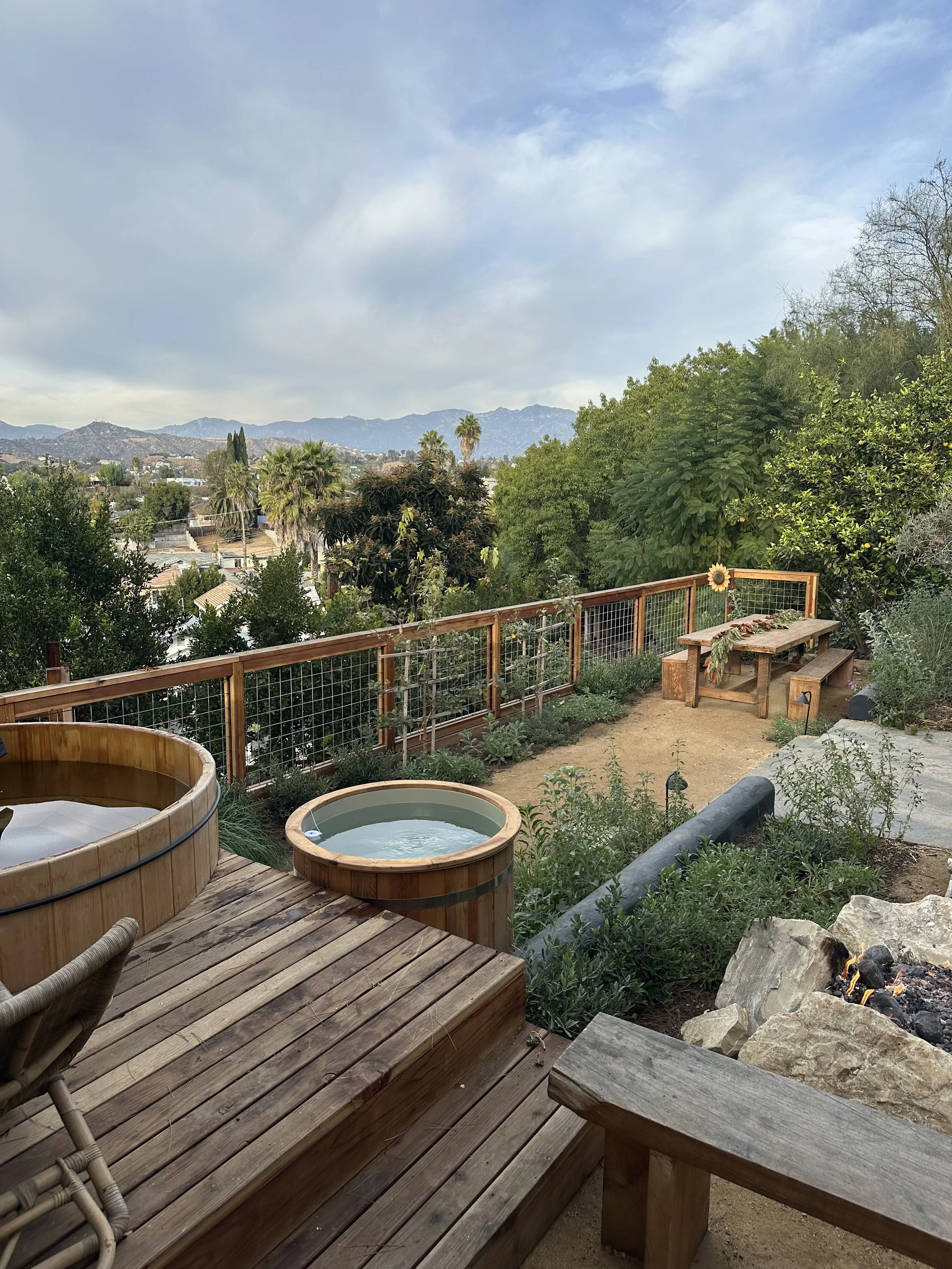 fi campbell design - montezuma.jpeg