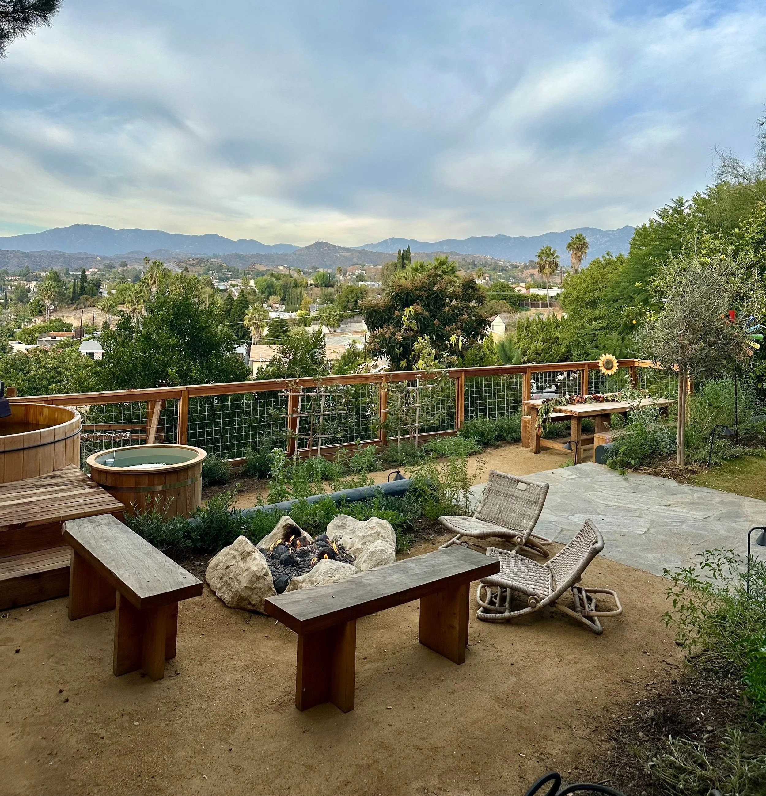 fi campbell design - montezuma.jpg