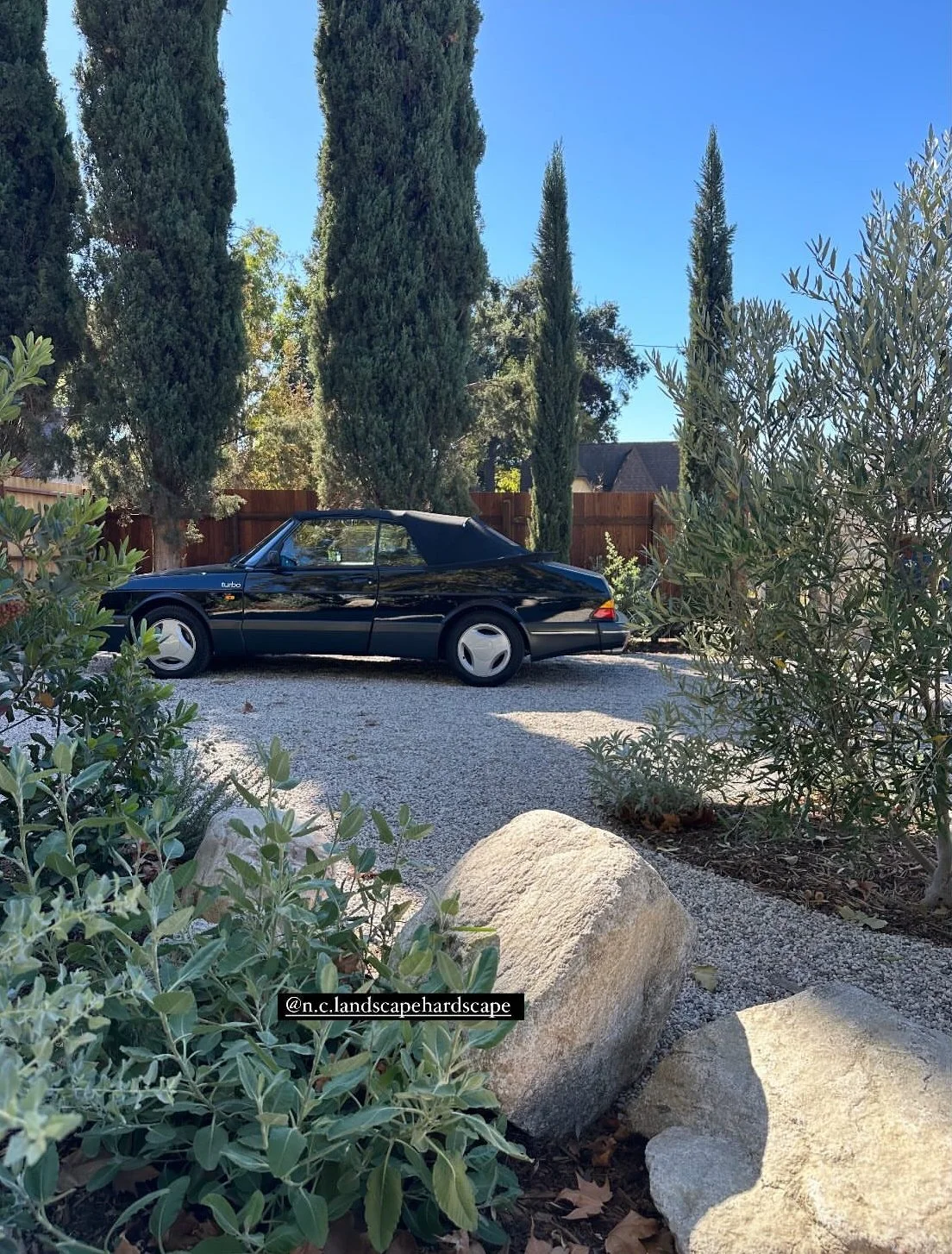 fi campbell design - poppy fields.jpg