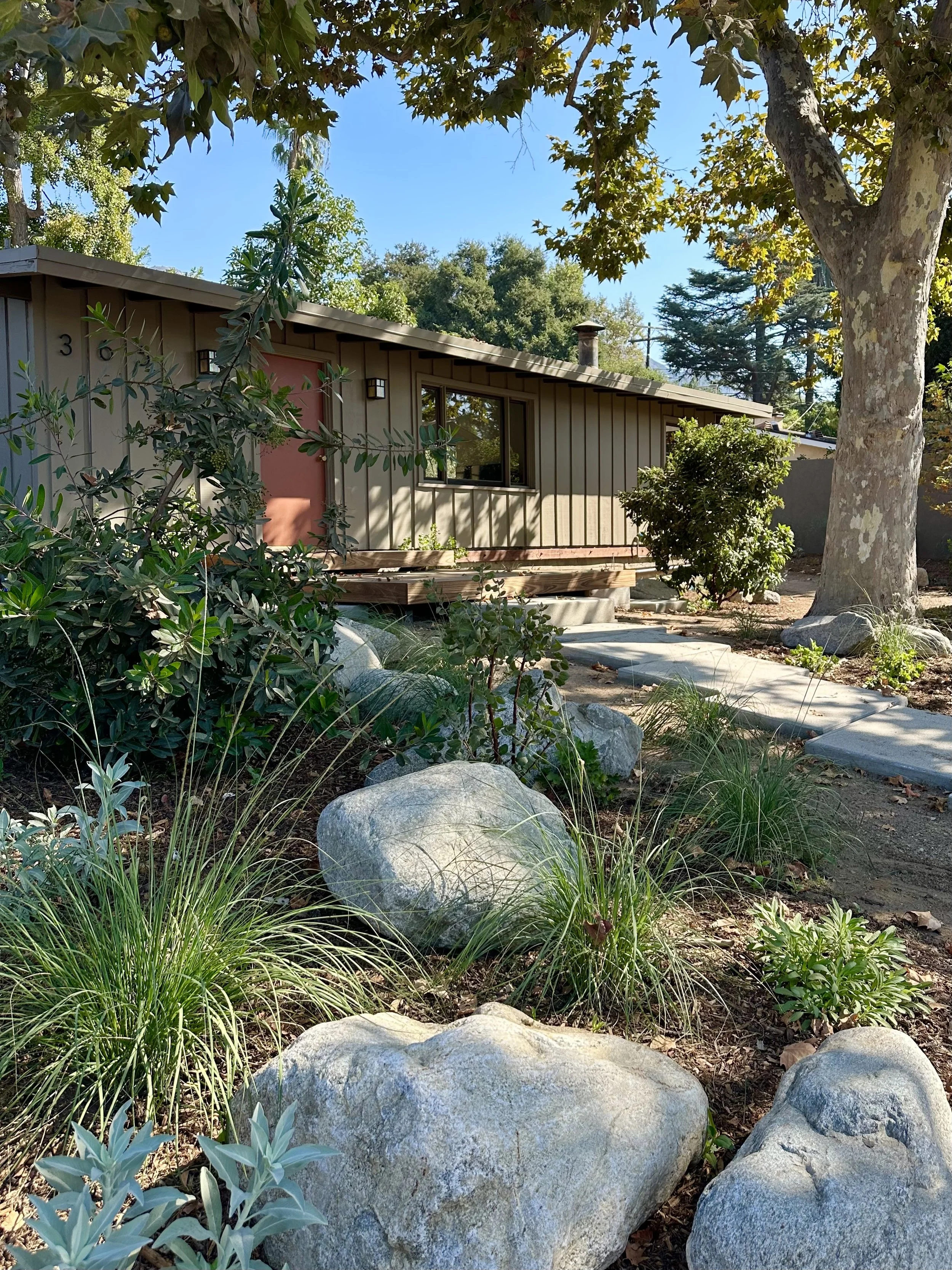 fi campbell design - poppy fields.jpeg