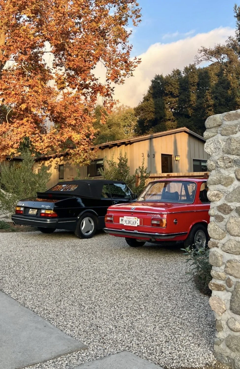 fi campbell design - poppy fields.jpg