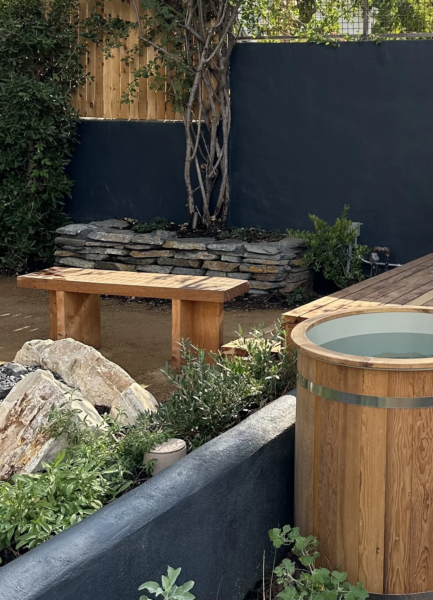 fi campbell design - montezuma.jpeg