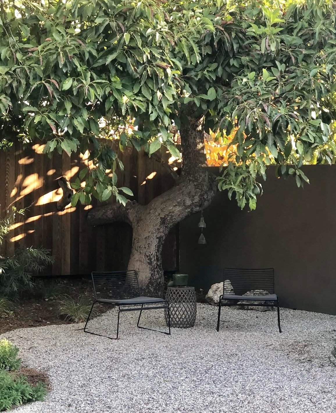 fi campbell design - poppy fields.jpg