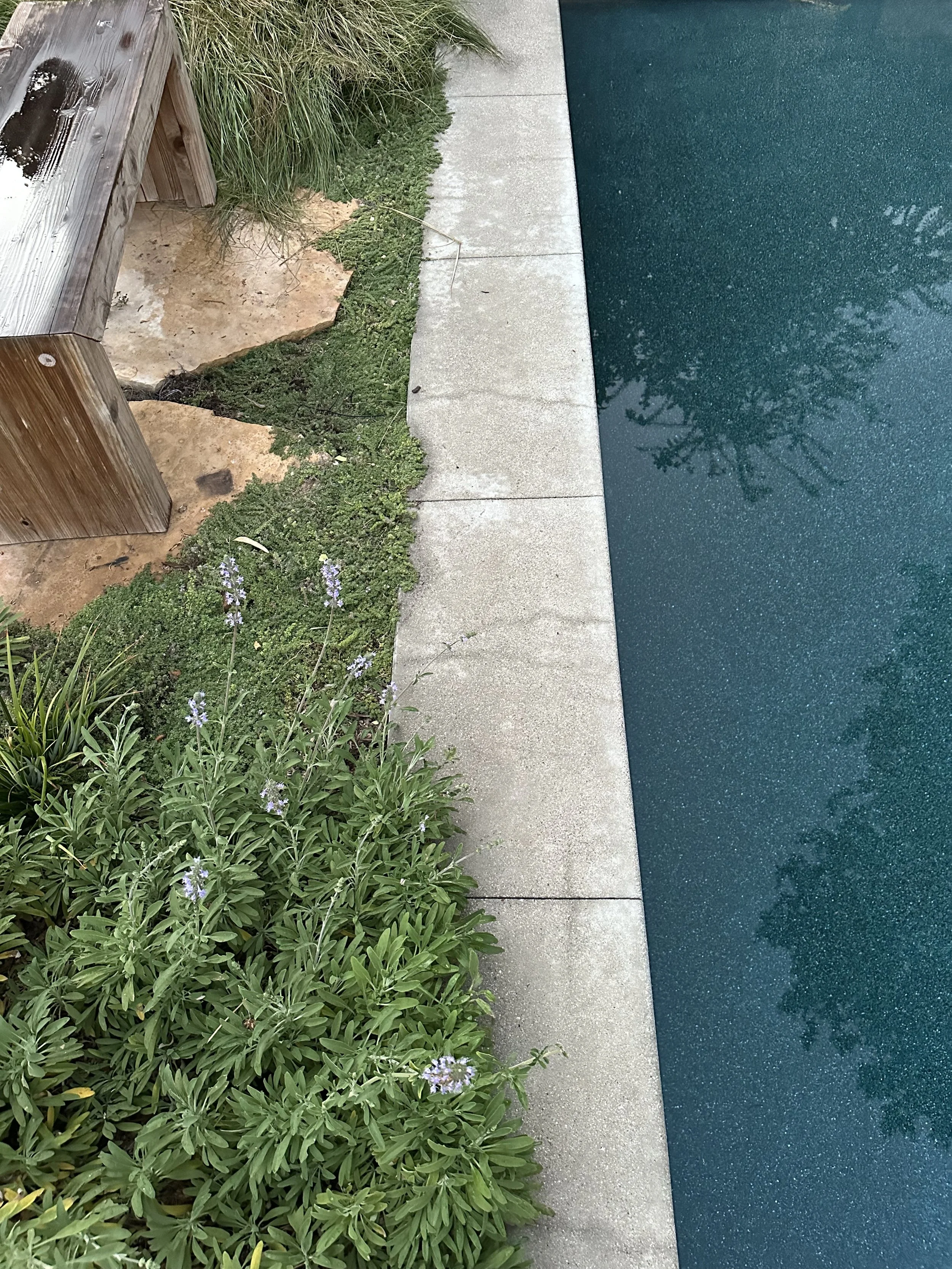 fi campbell design - baxter.jpg