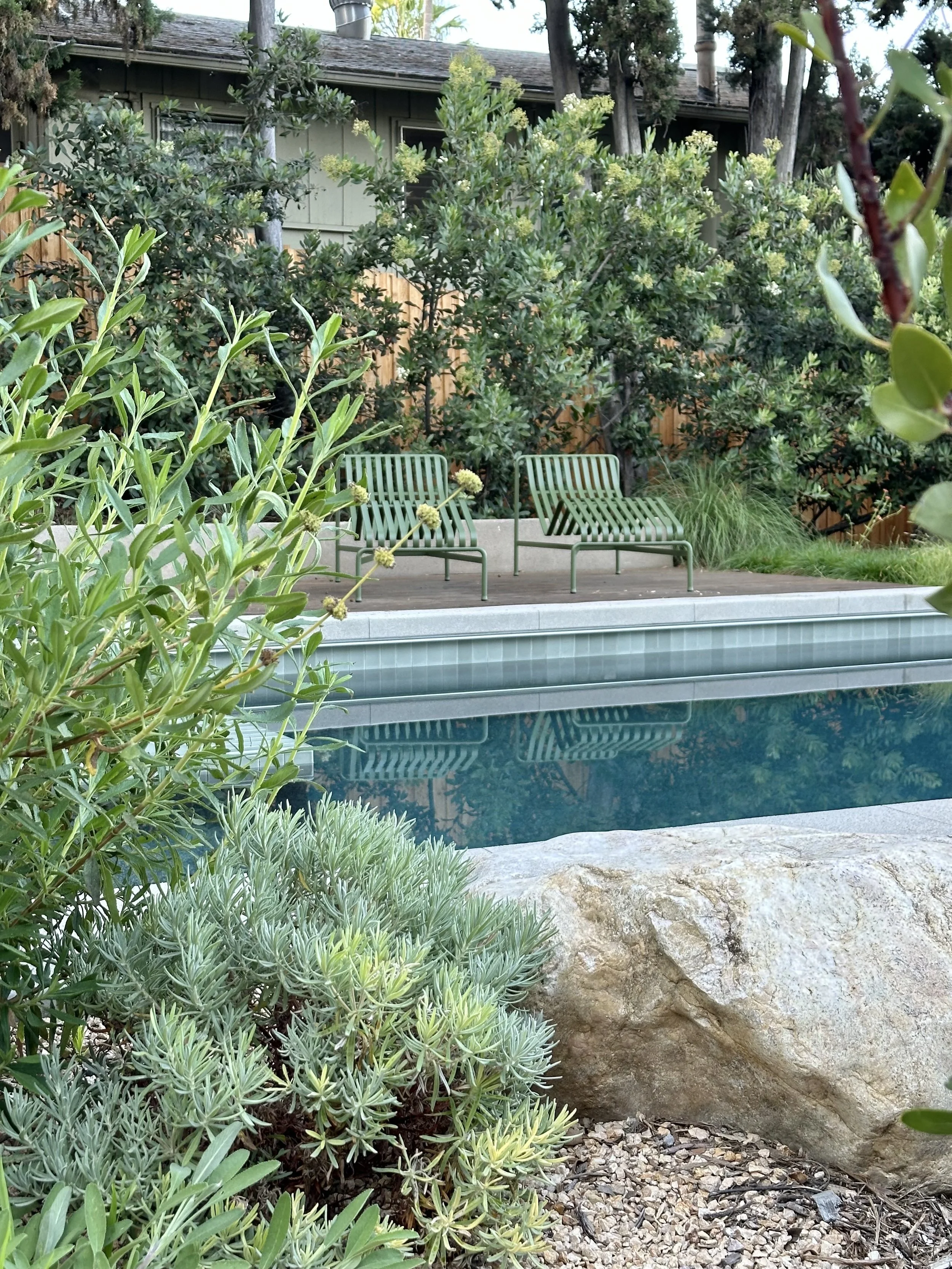 fi campbell design - baxter.jpg