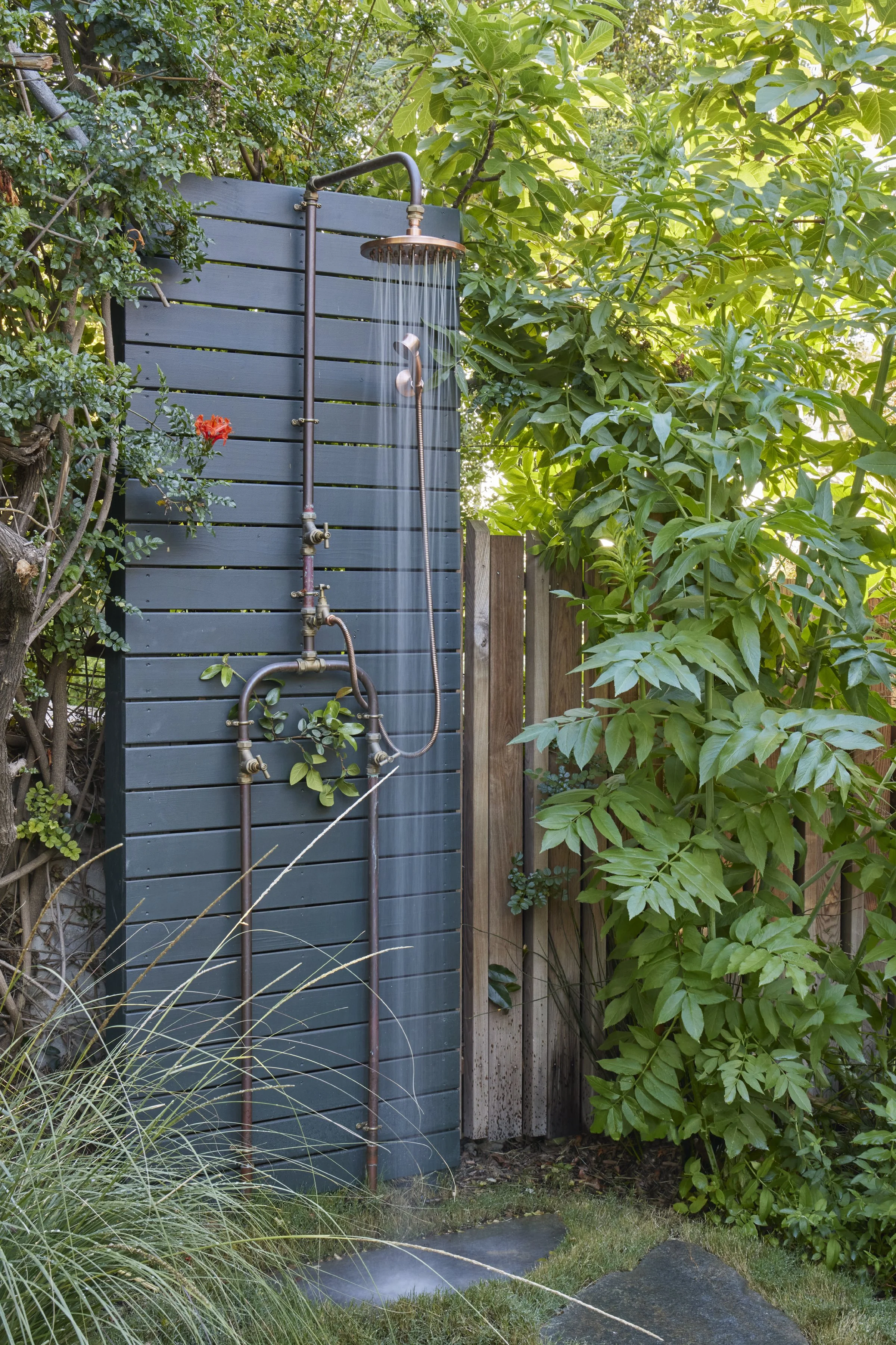 fi campbell design - hill.jpeg