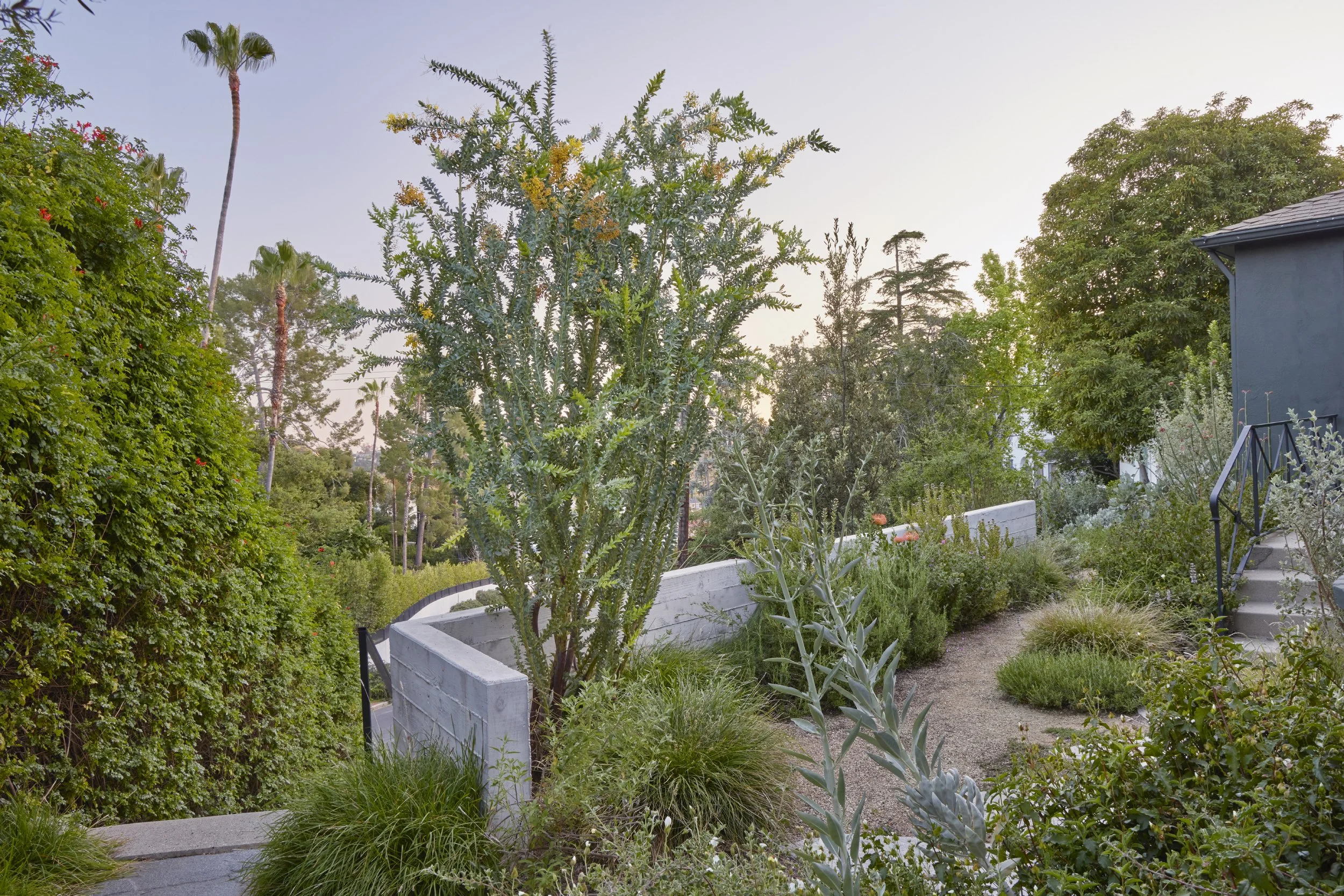 fi campbell design - hill.jpeg