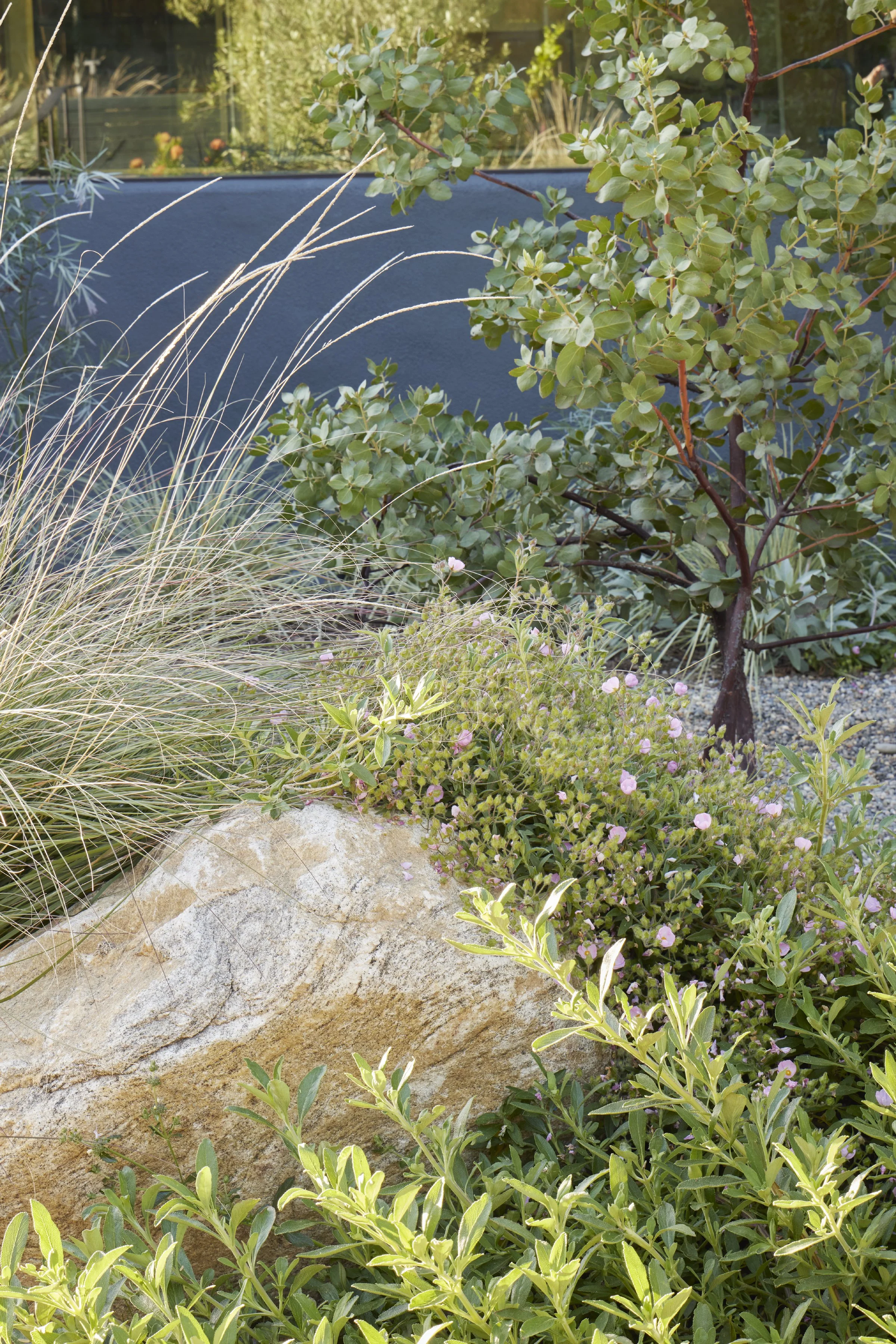 fi campbell design - hill.jpeg