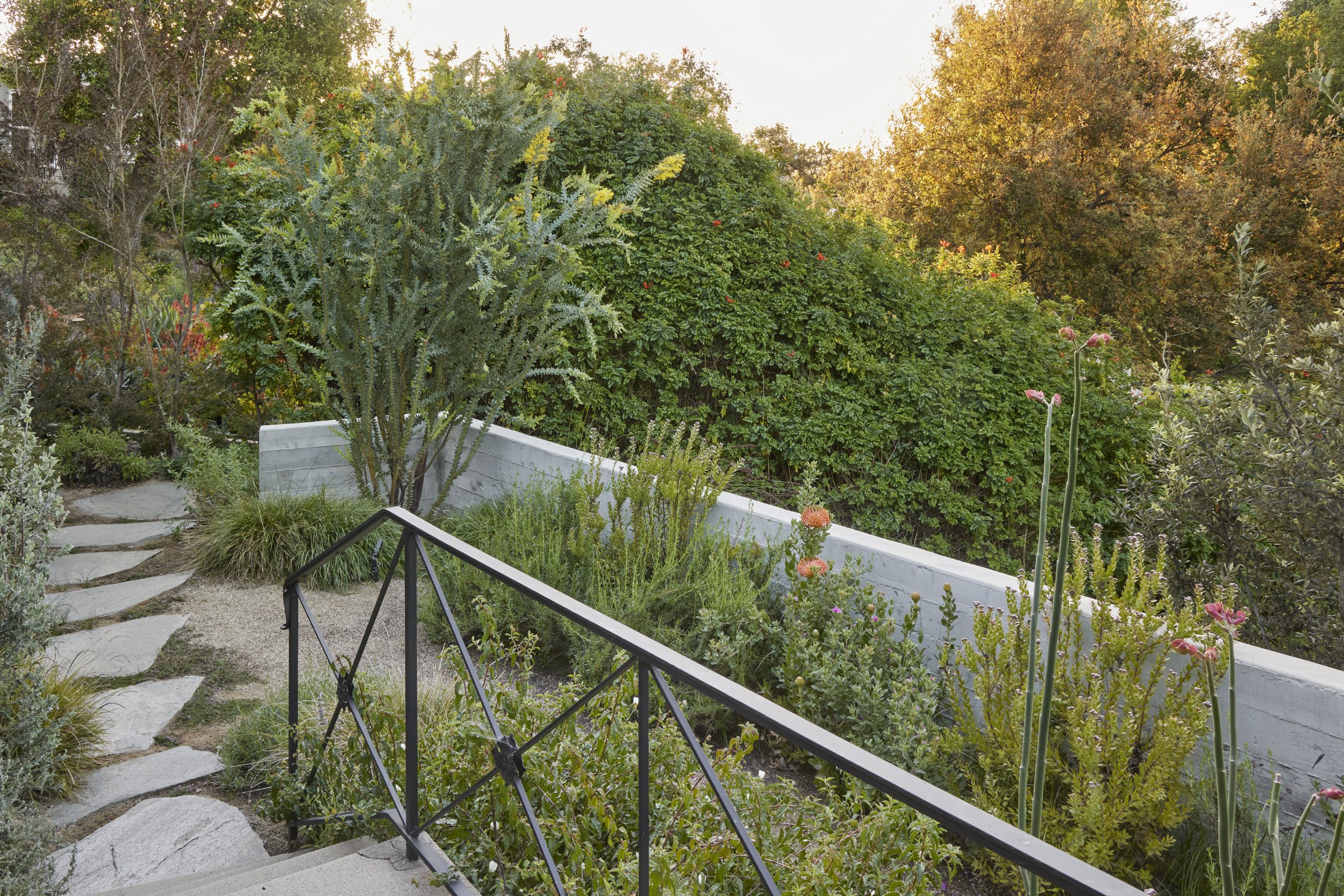 fi campbell design - hill.jpg