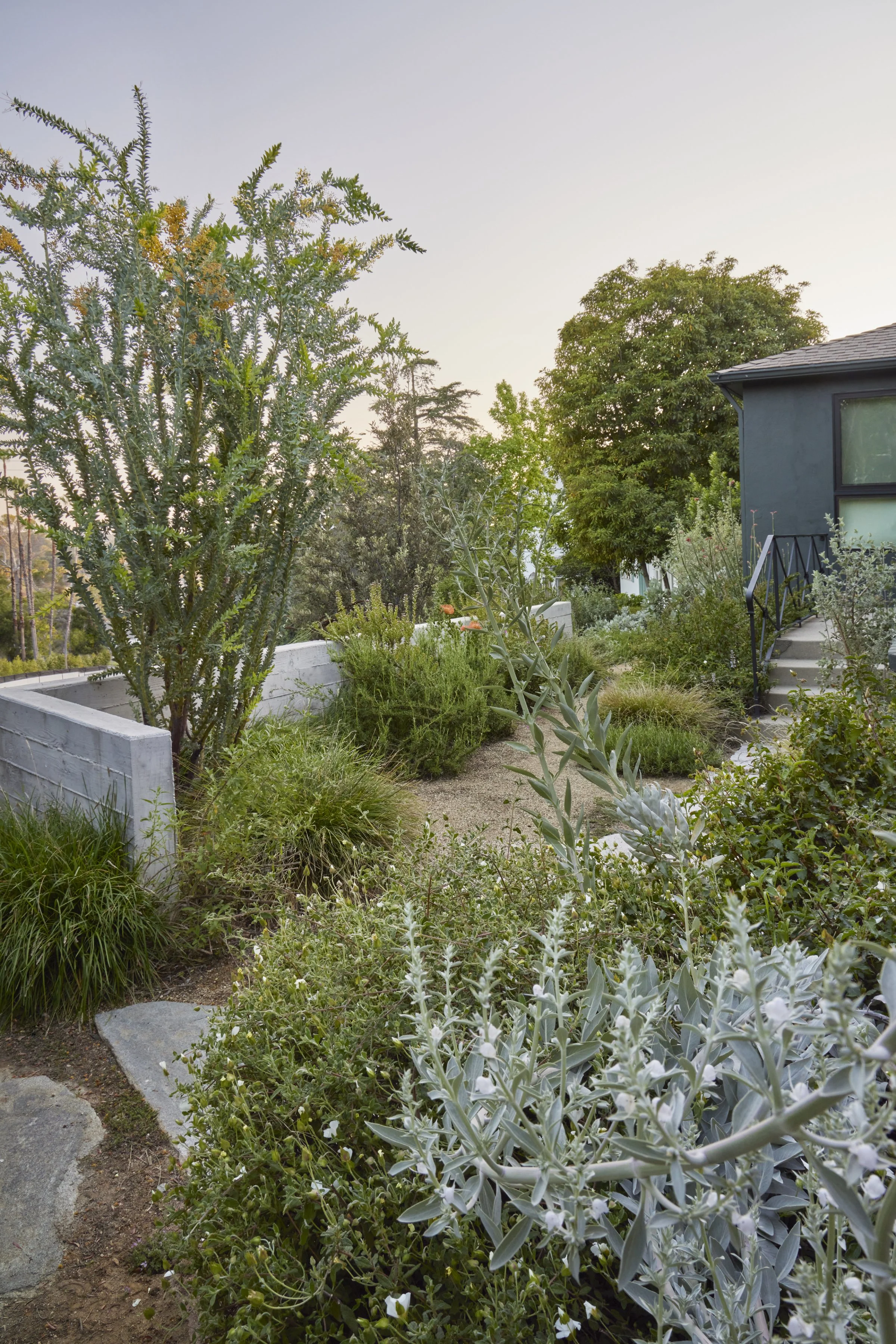 fi campbell design - hill.jpg