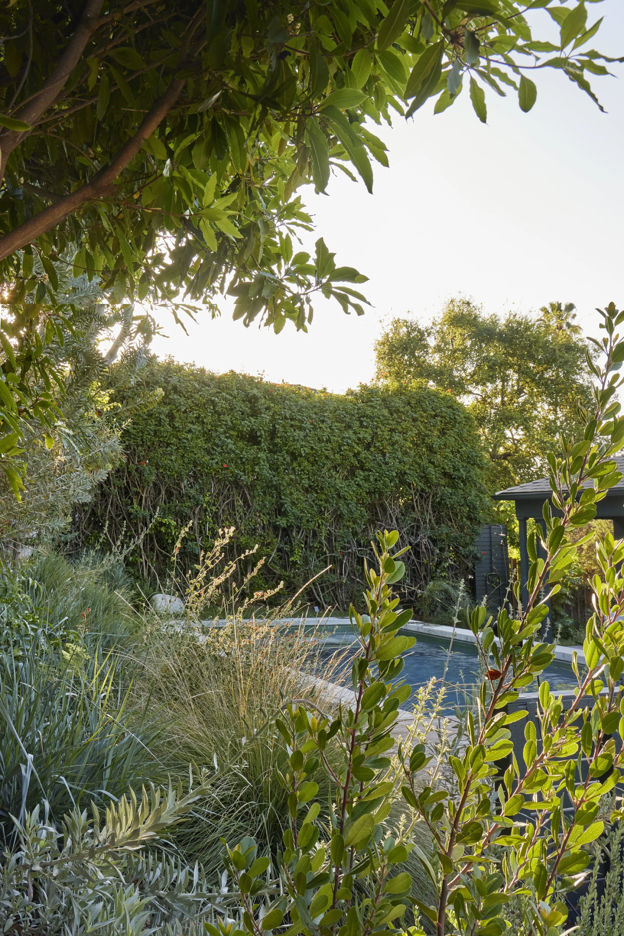 fi campbell design - hill.jpg