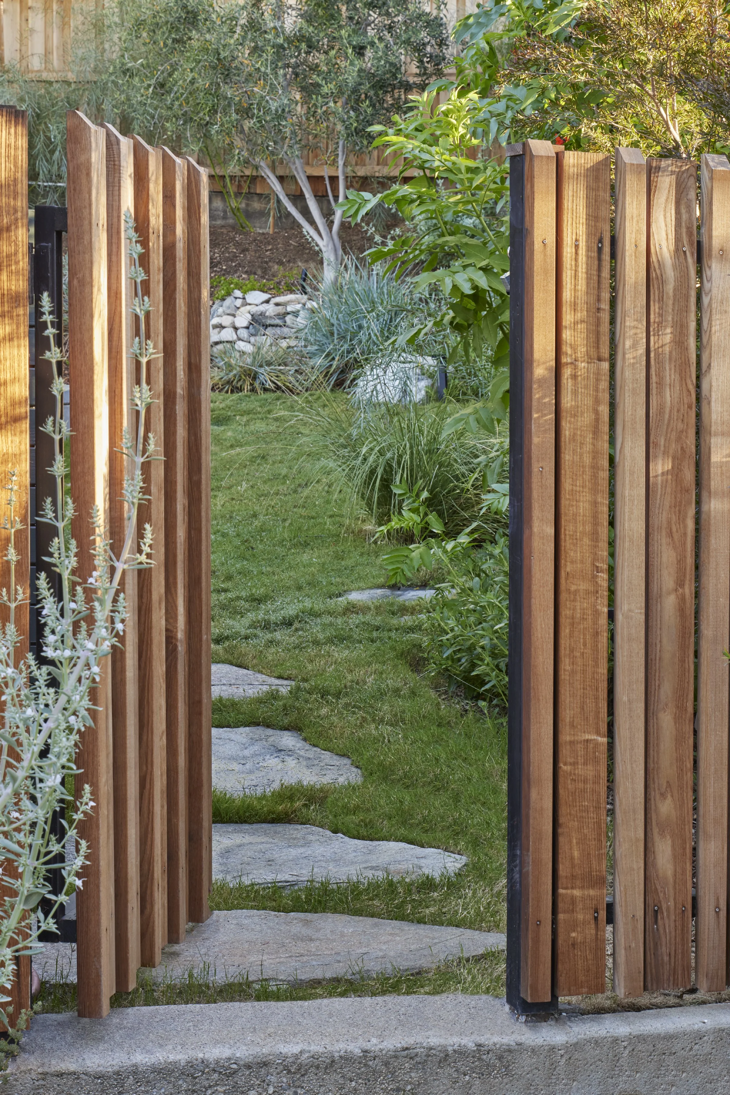 fi campbell design - hill.jpg