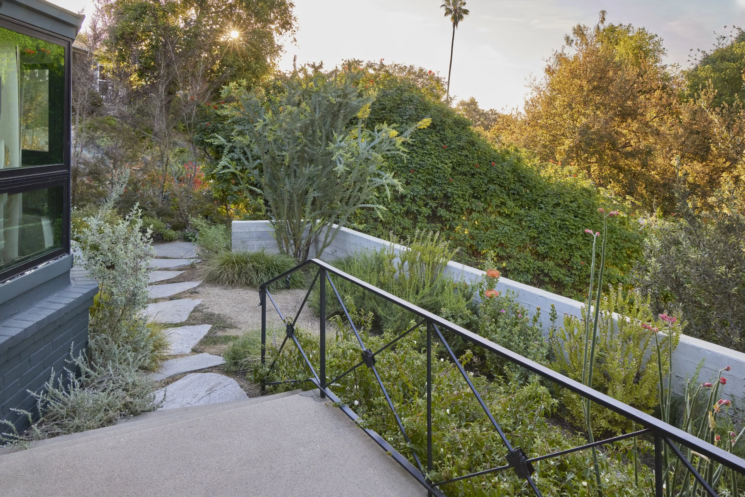 fi campbell design - hill.jpeg