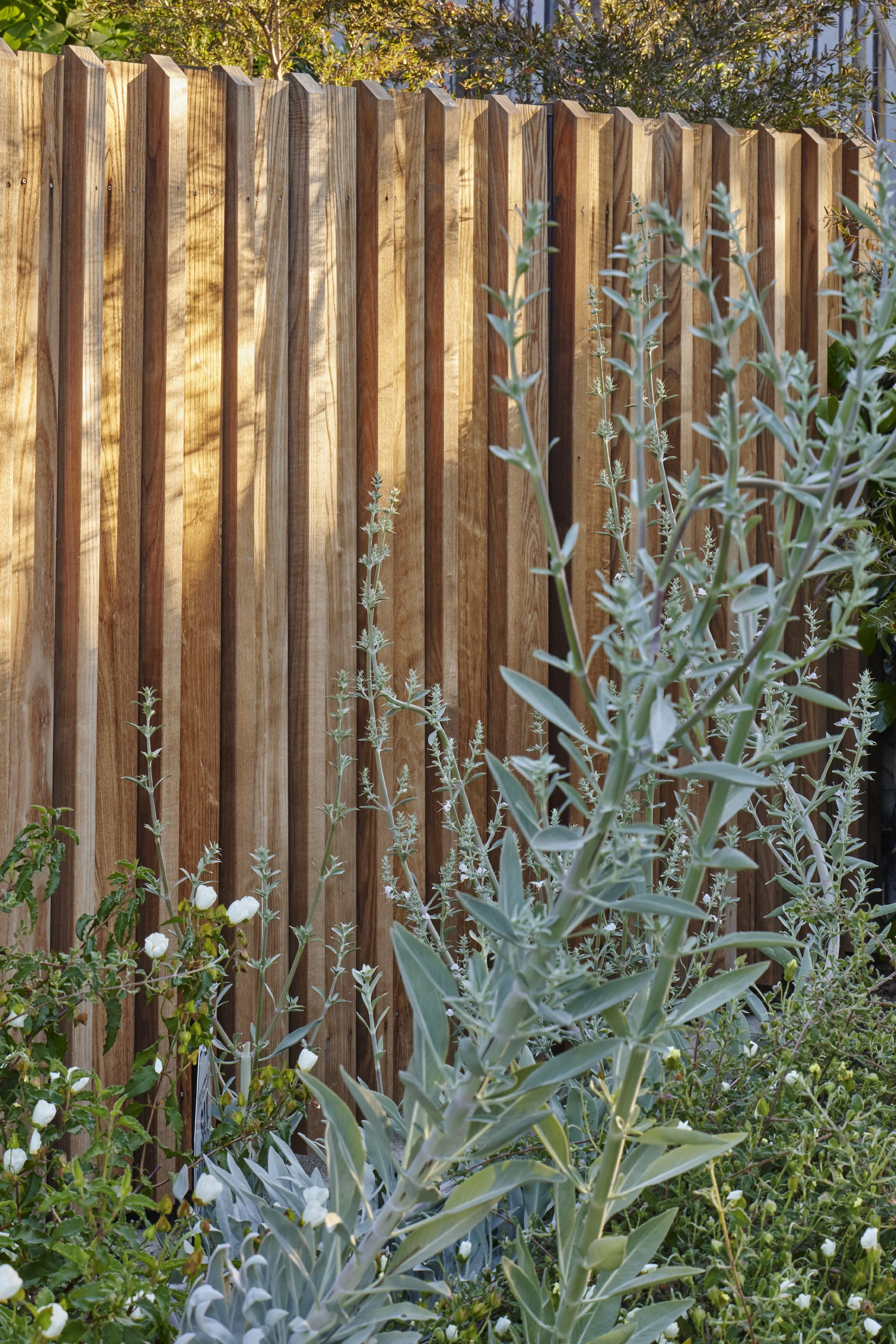 fi campbell design - hill.jpg