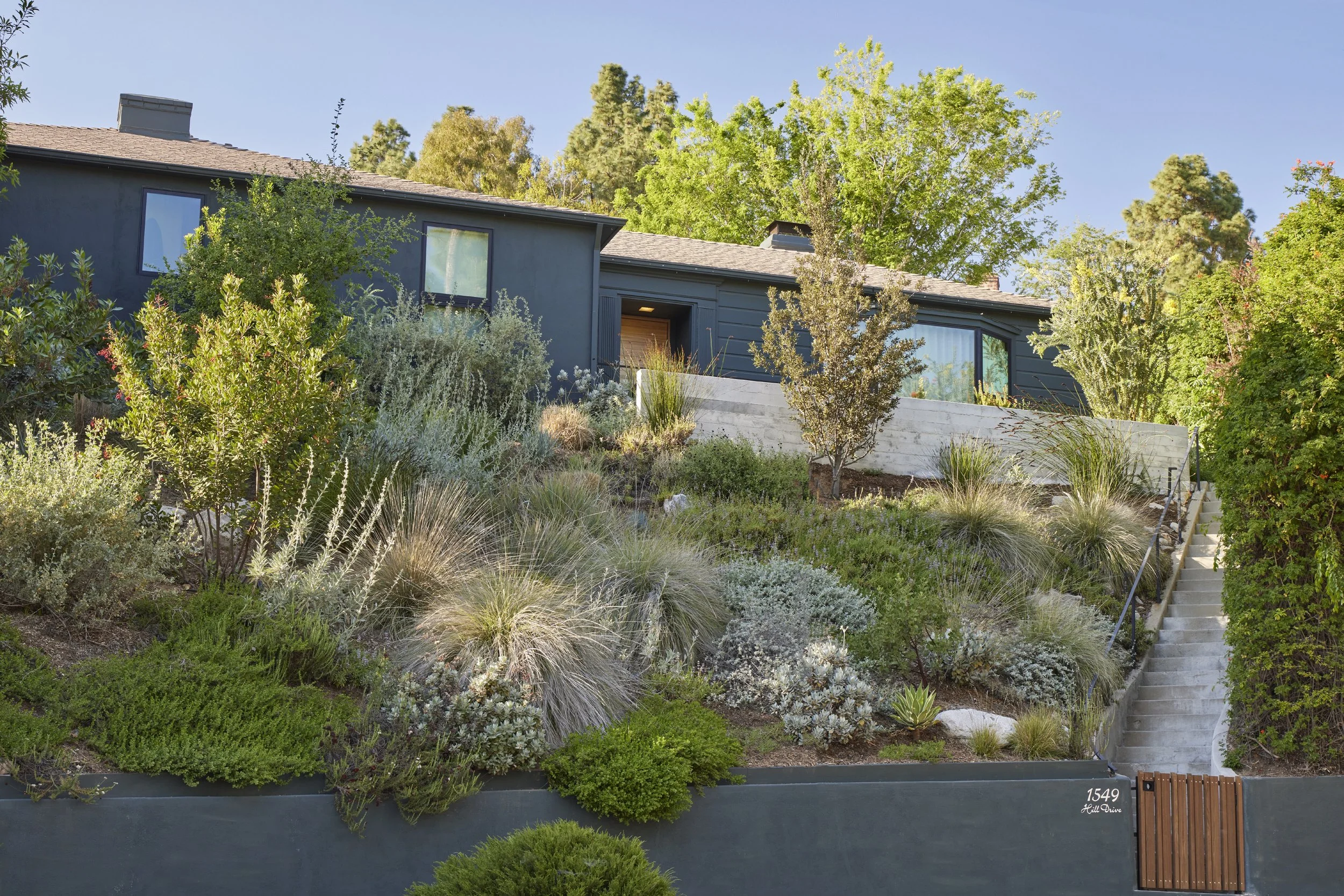 fi campbell design - hill.jpg