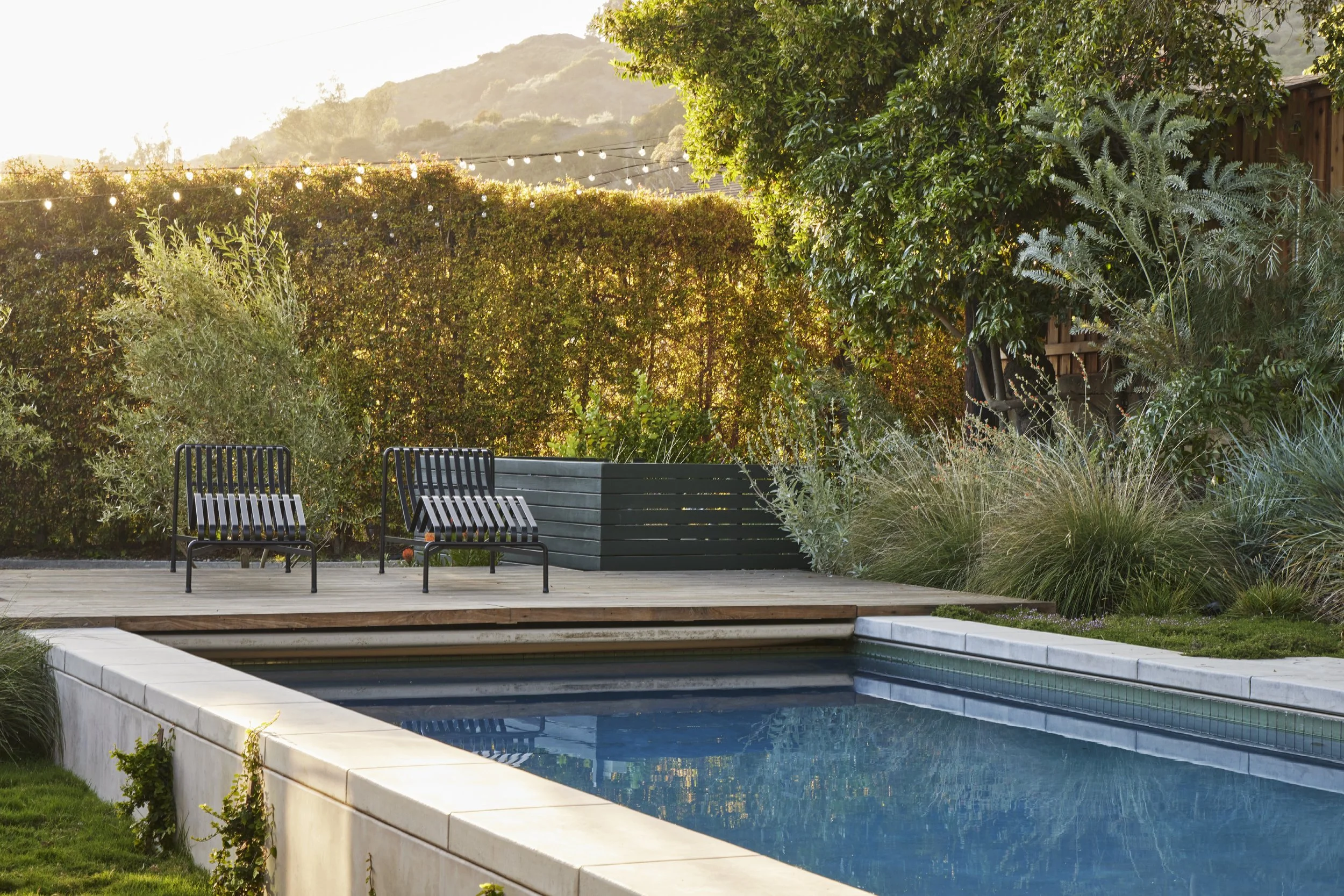 fi campbell design - hill.jpeg