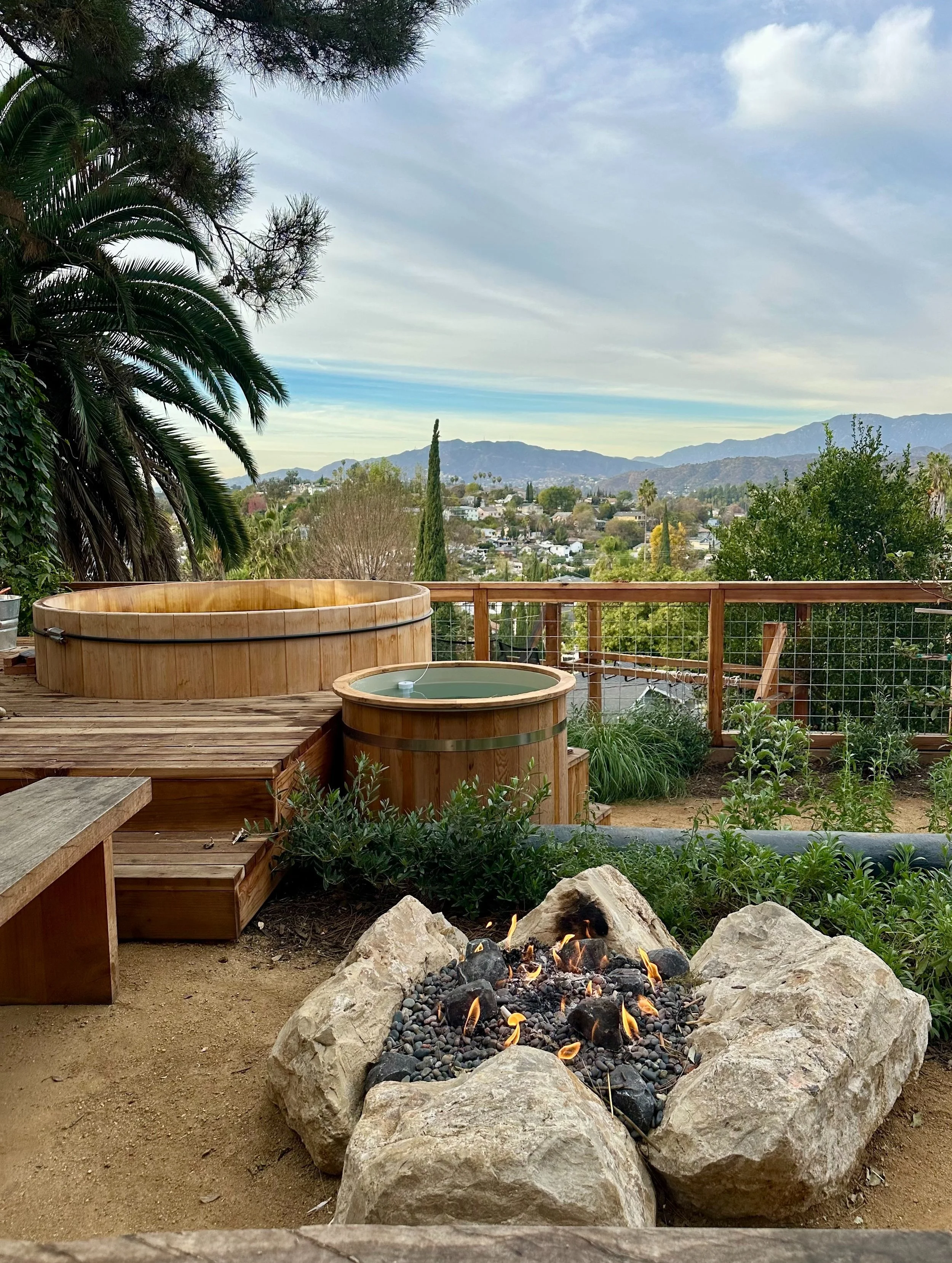 fi campbell design - montezuma.jpg