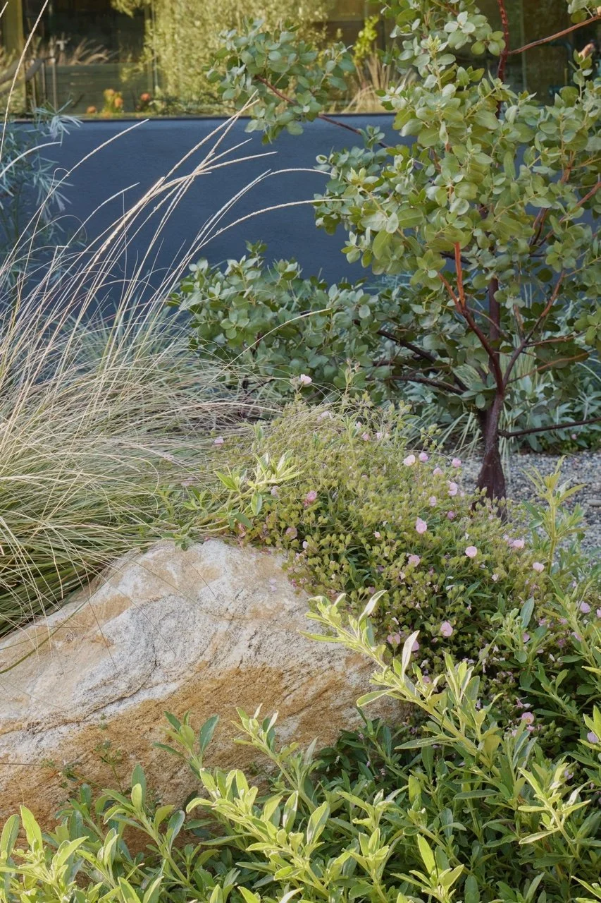Gardenista / Rocks and Boulders in the Garden