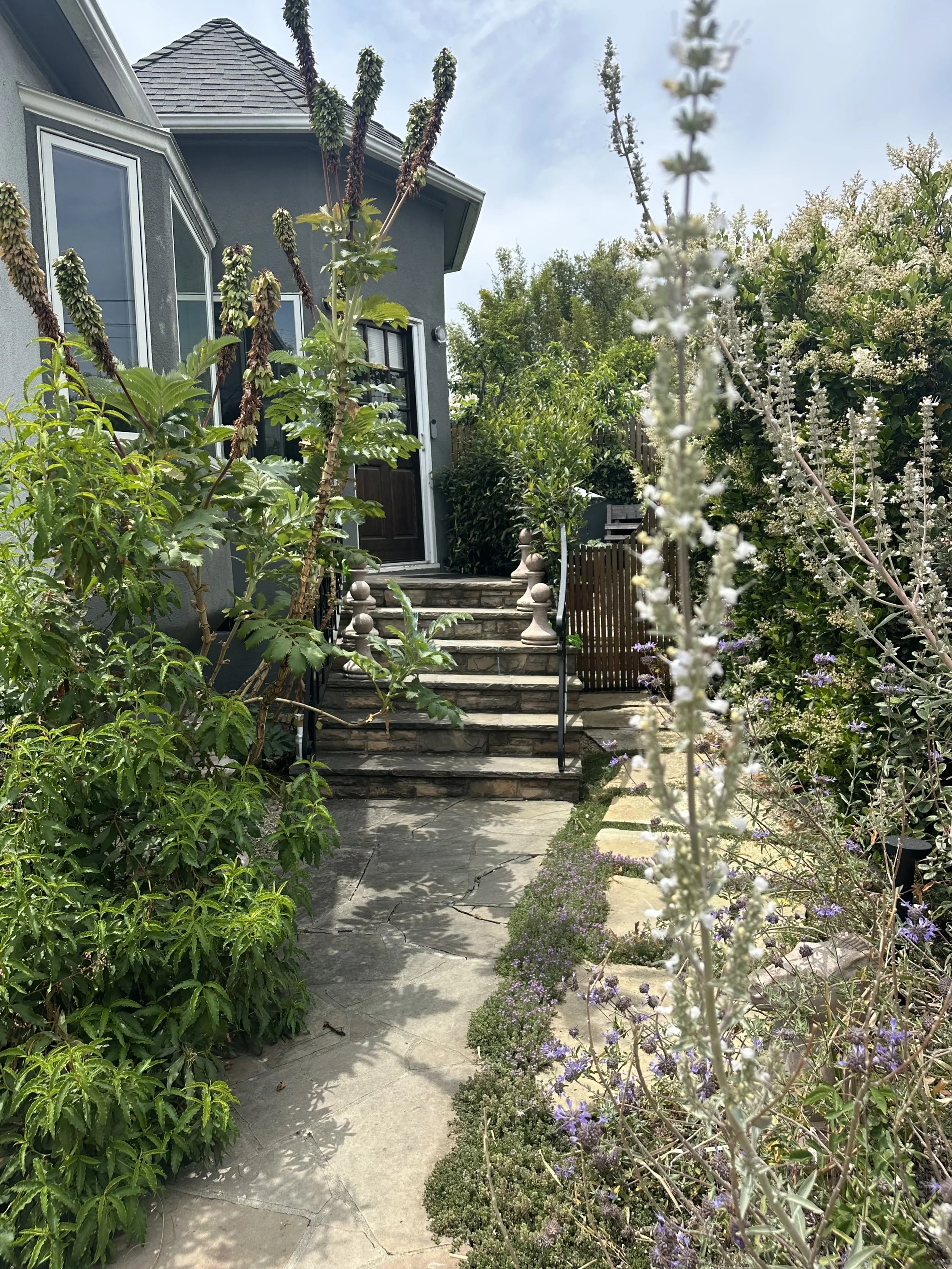 Silverwood Terrace Residence