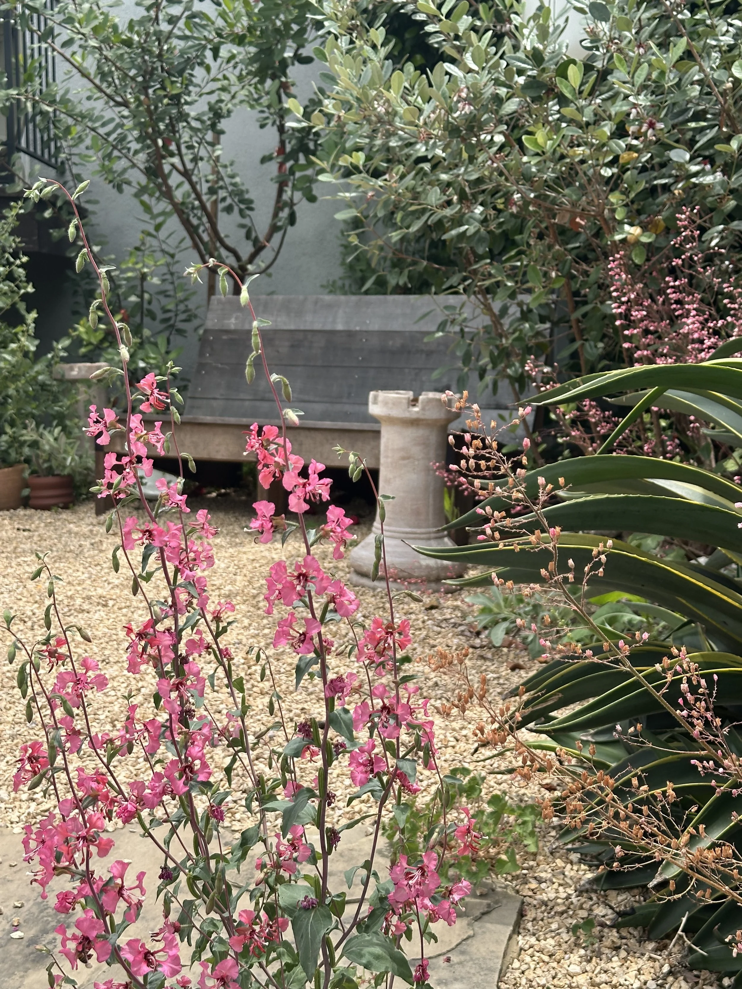 Silverwood Terrace Residence