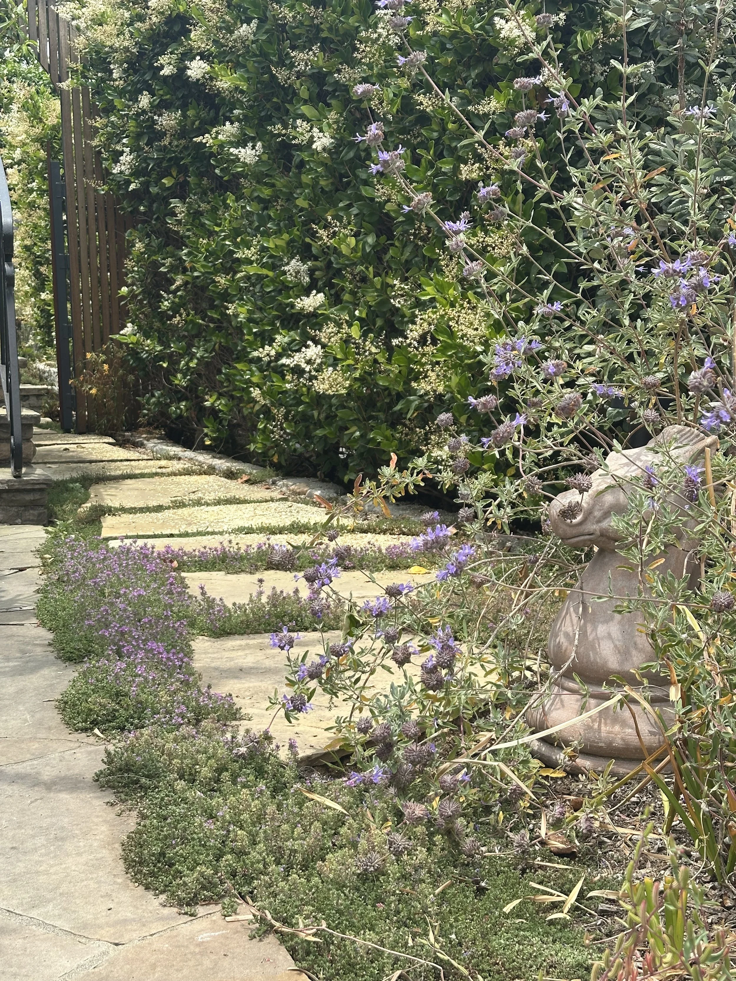 Silverwood Terrace Residence