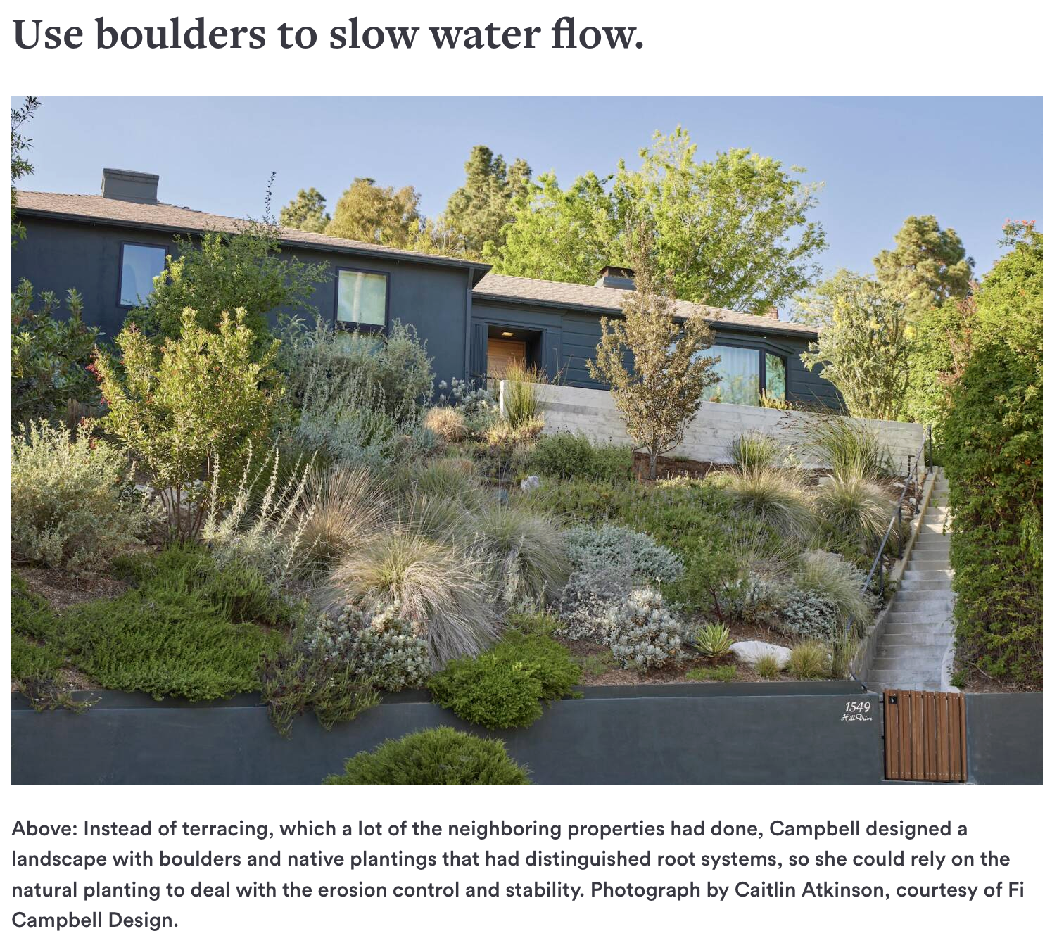  Images from Hill Dr Residence  Taken by Caitlin Atkinson   https://www.gardenista.com/posts/ask-experts-what-to-plant-steep-slope/  