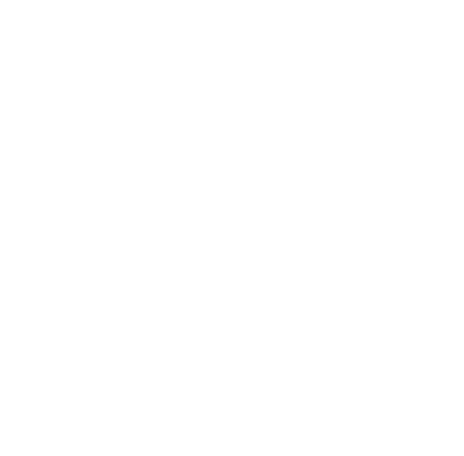 canneslions.png