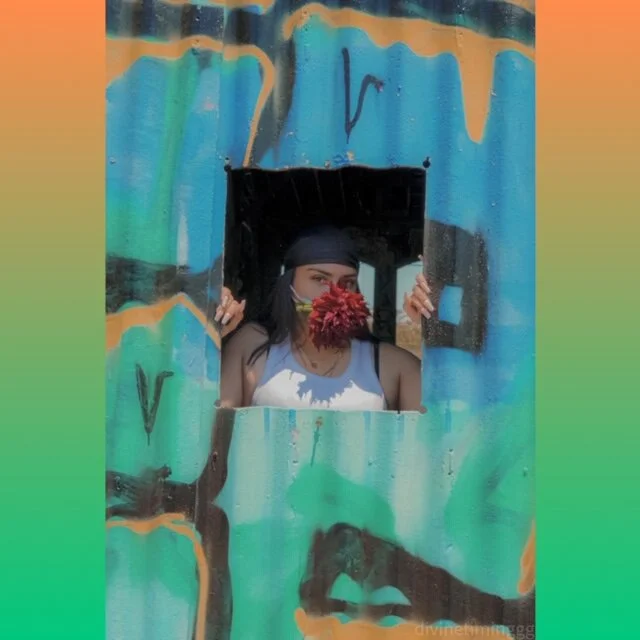 Person wearing a bandana and holding a red flower in front of their face, peering through a square opening in graffiti-covered sheet metal.