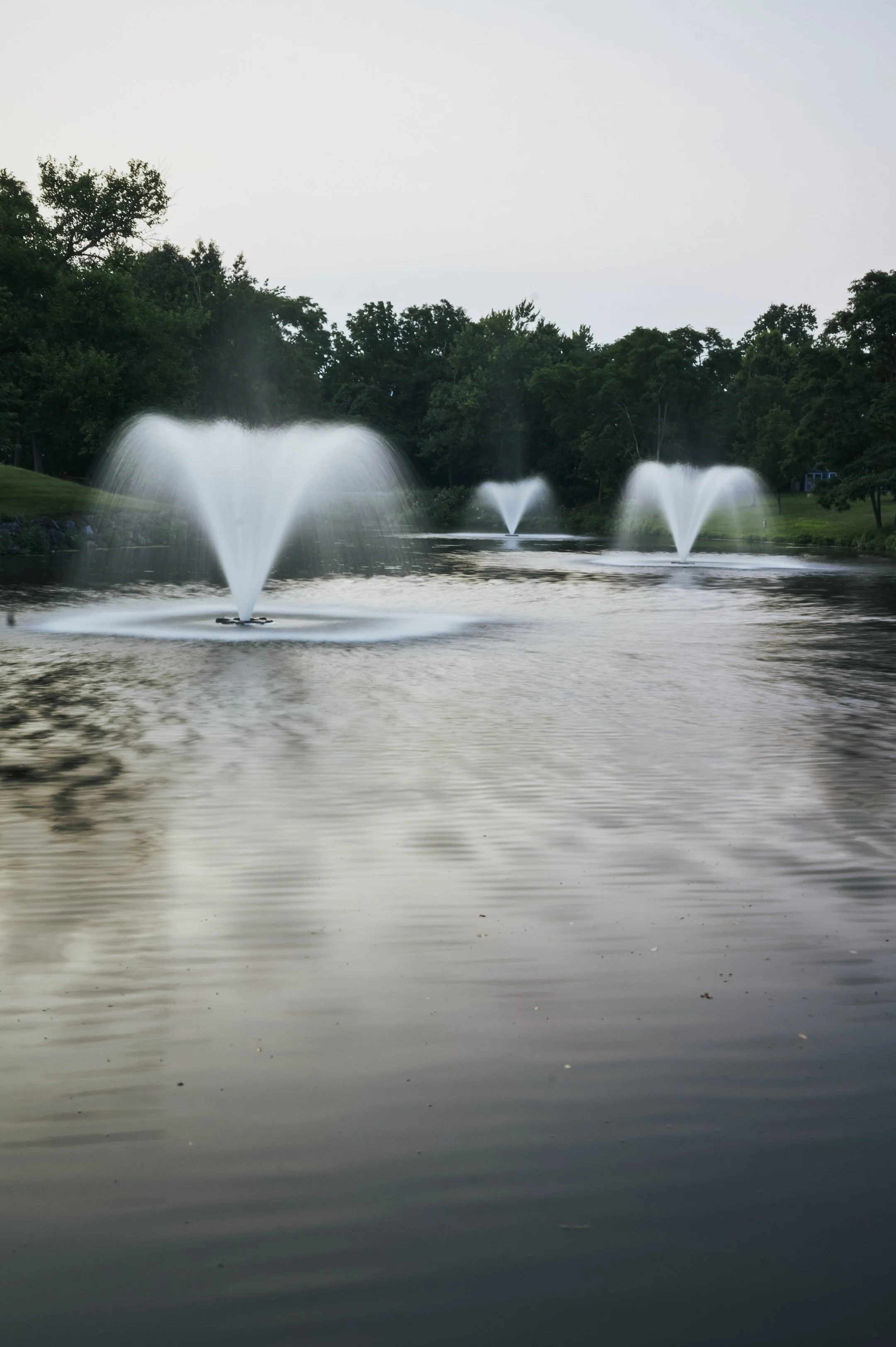 DSC03897.jpg