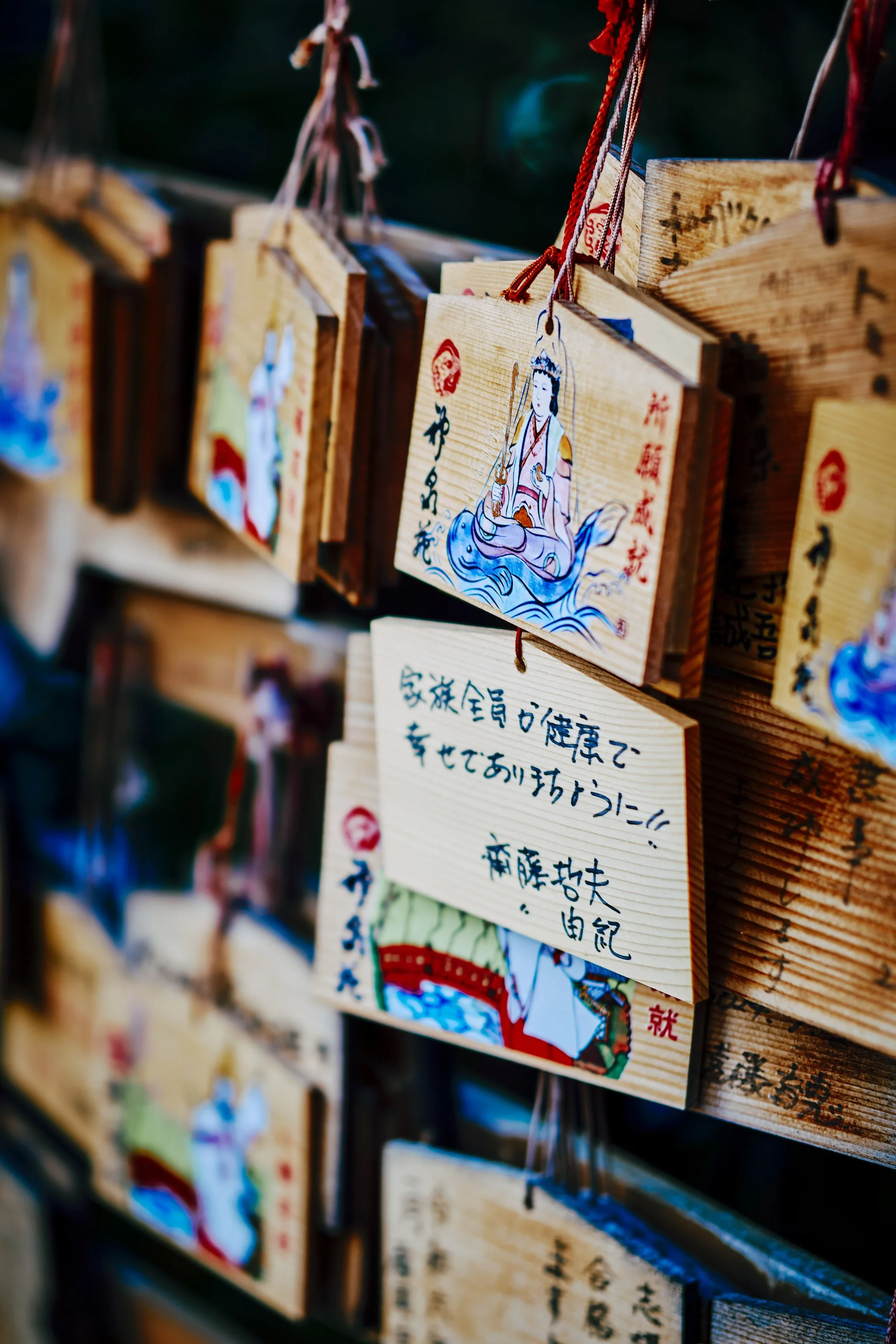 DSC08778.jpg