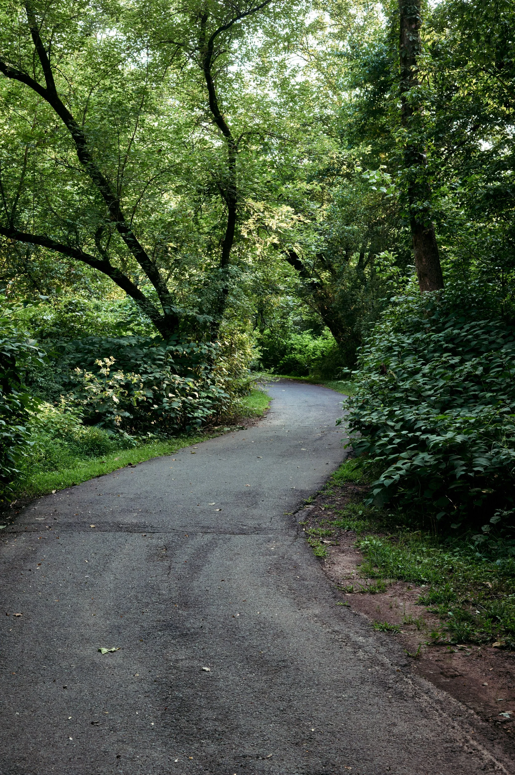 DSC06075.jpg