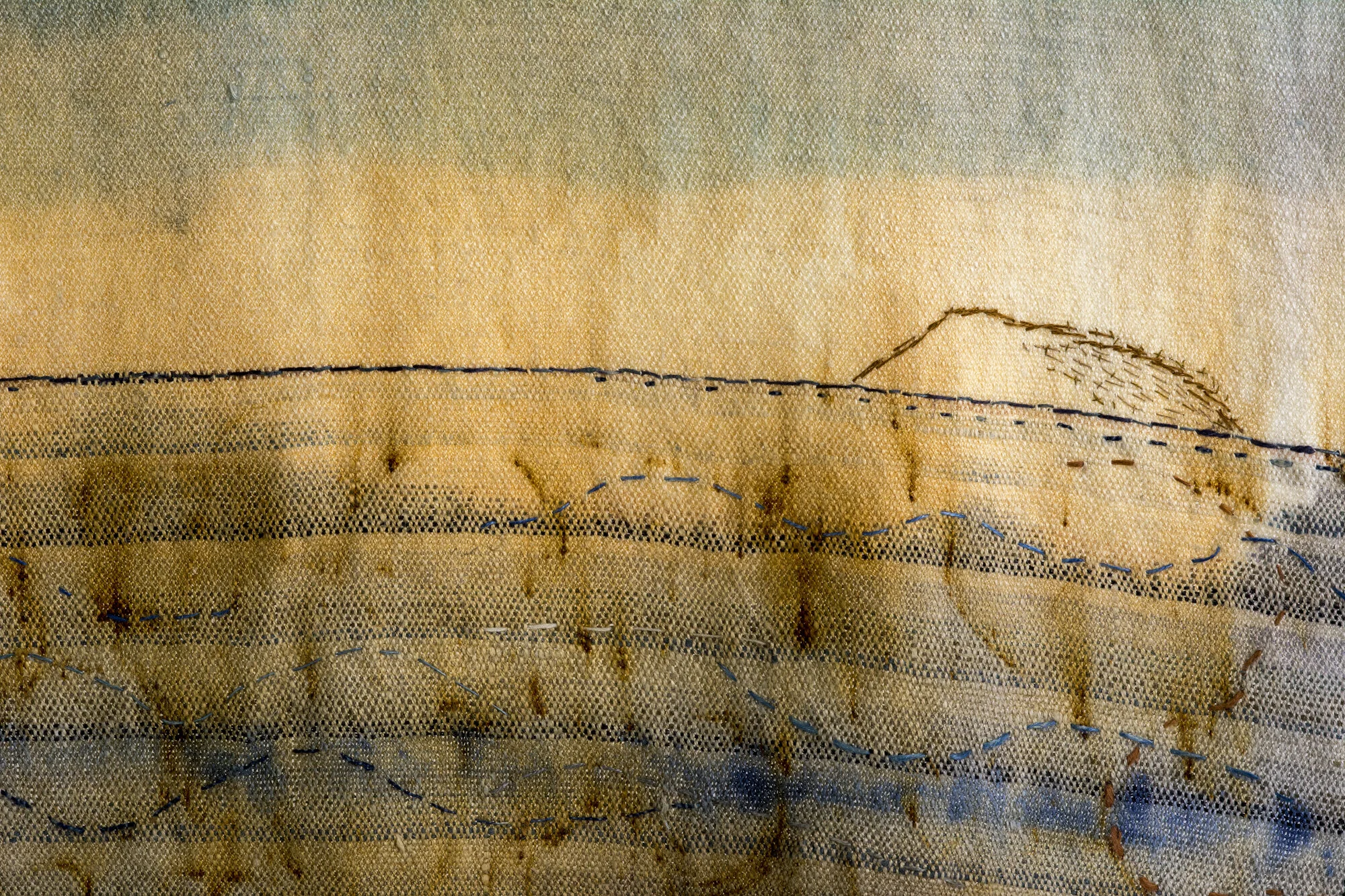 Detail - Avian Apprentice" 