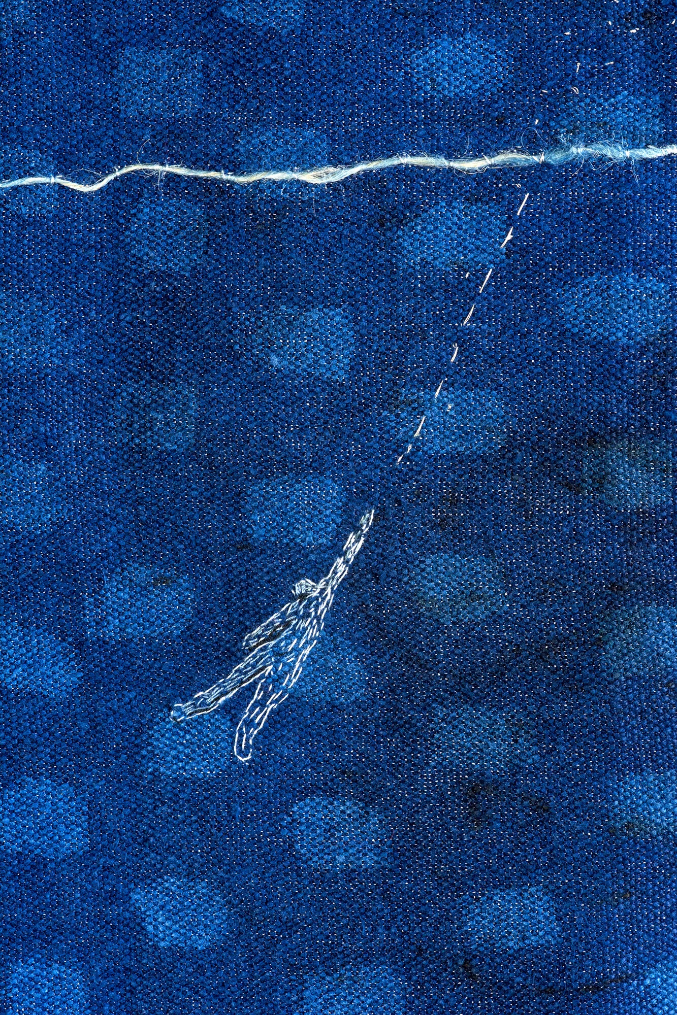 "Avian Rescue" - detail