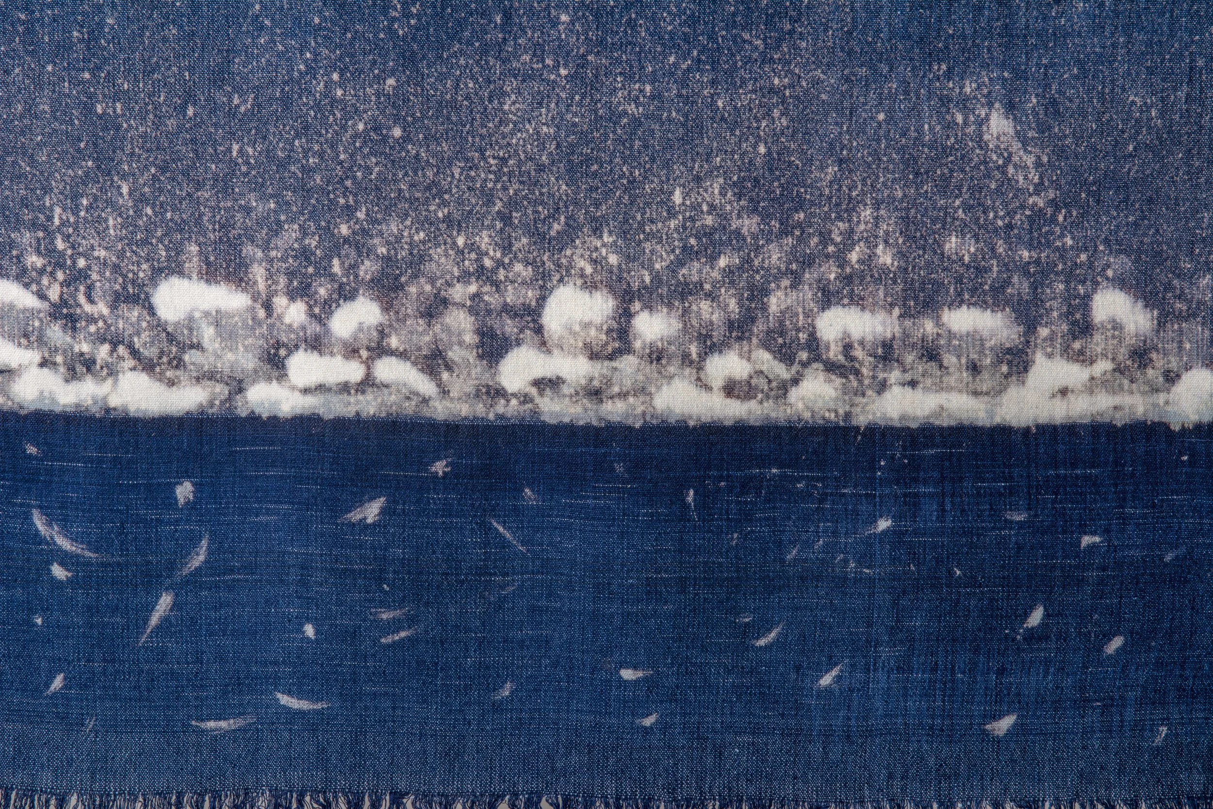 The Blue Horizon #1 detail