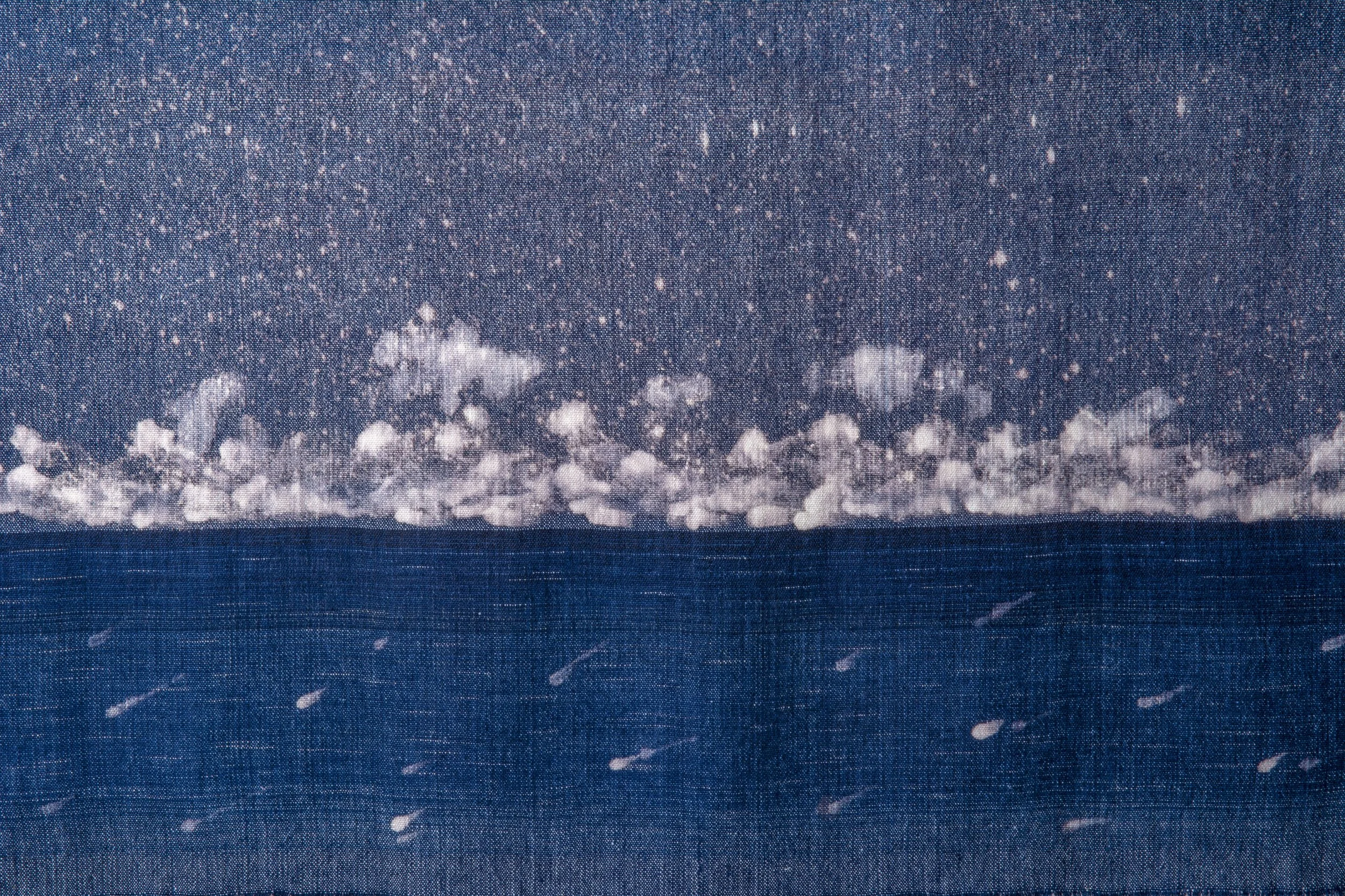 The Blue Horizon #2 detail