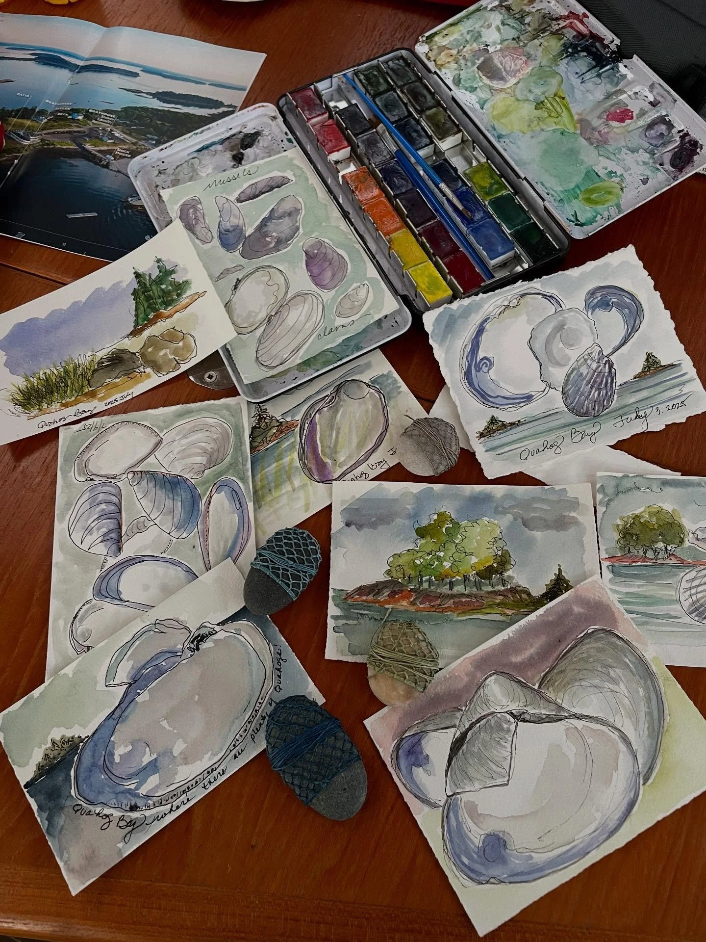 Inspired by the humble 
Quahog 
Blue mussel 
🫐
Grounded in the mindful practice of drawing, painting 
And netting stones. 
.
Grateful for every breath 
🙏🏽
#meditationdrawing #nettedstones #mainebeachstones 
#floatingstudio