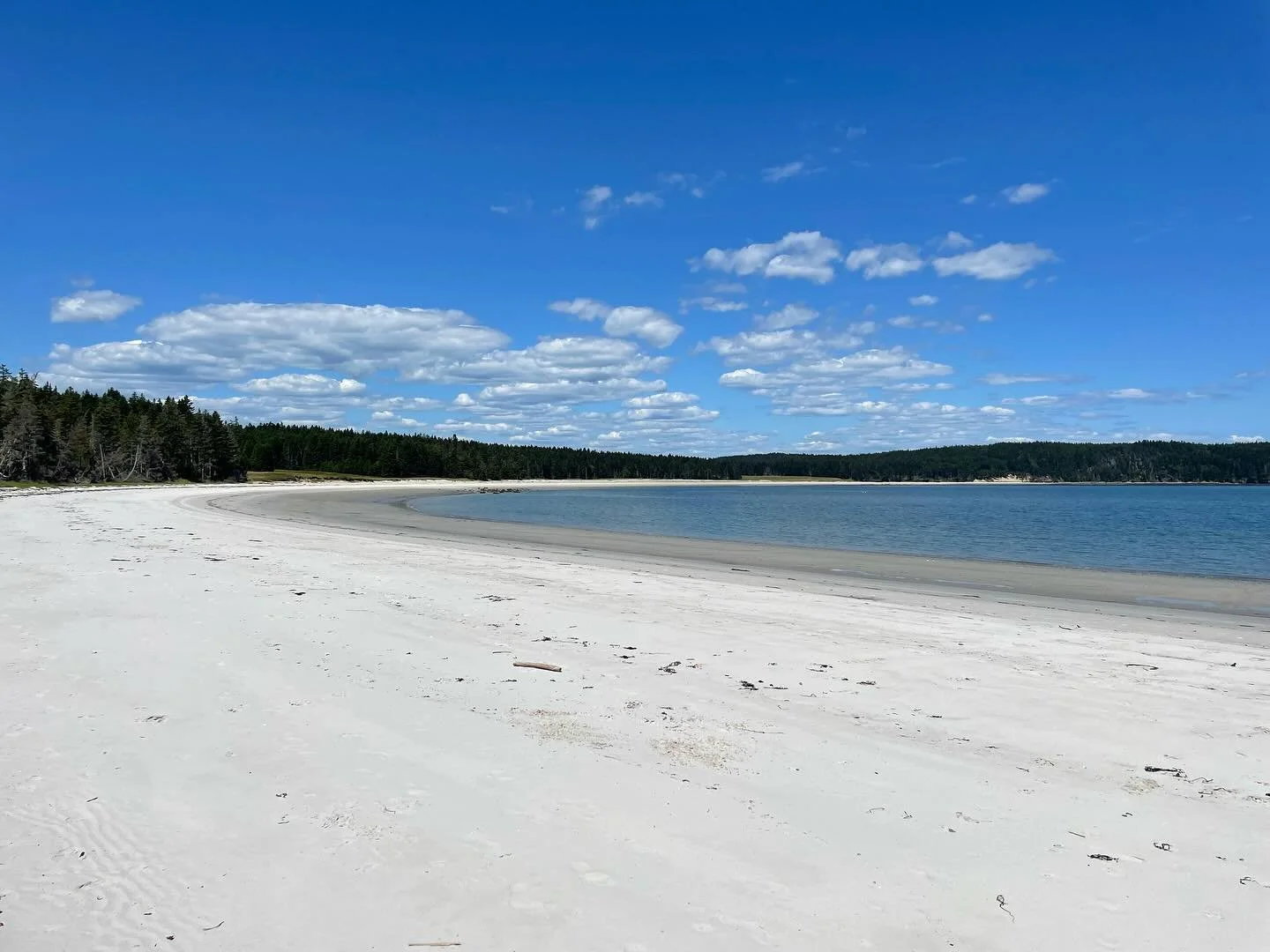 Roque Island 
After decades of dreaming about this unique island on the coast of Maine
🌿🌿🌿
We finally made it. 
🌿🌿🌿
And it is every bit as beautiful as, serene and secluded as we imagined. 
🌿🌿🌿
A mile long white sand beach. 
Crystal clear (b