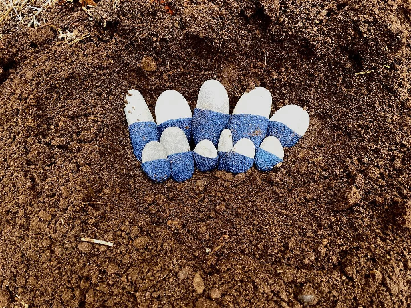 To live in this world

you must be able 
to do three things 
to love what is mortal 
to hold it 

against your bones knowing 
your own life depends on it ;
and when the time comes to let it go ,
to let it go.

Mary Oliver "Blackwater Woods"